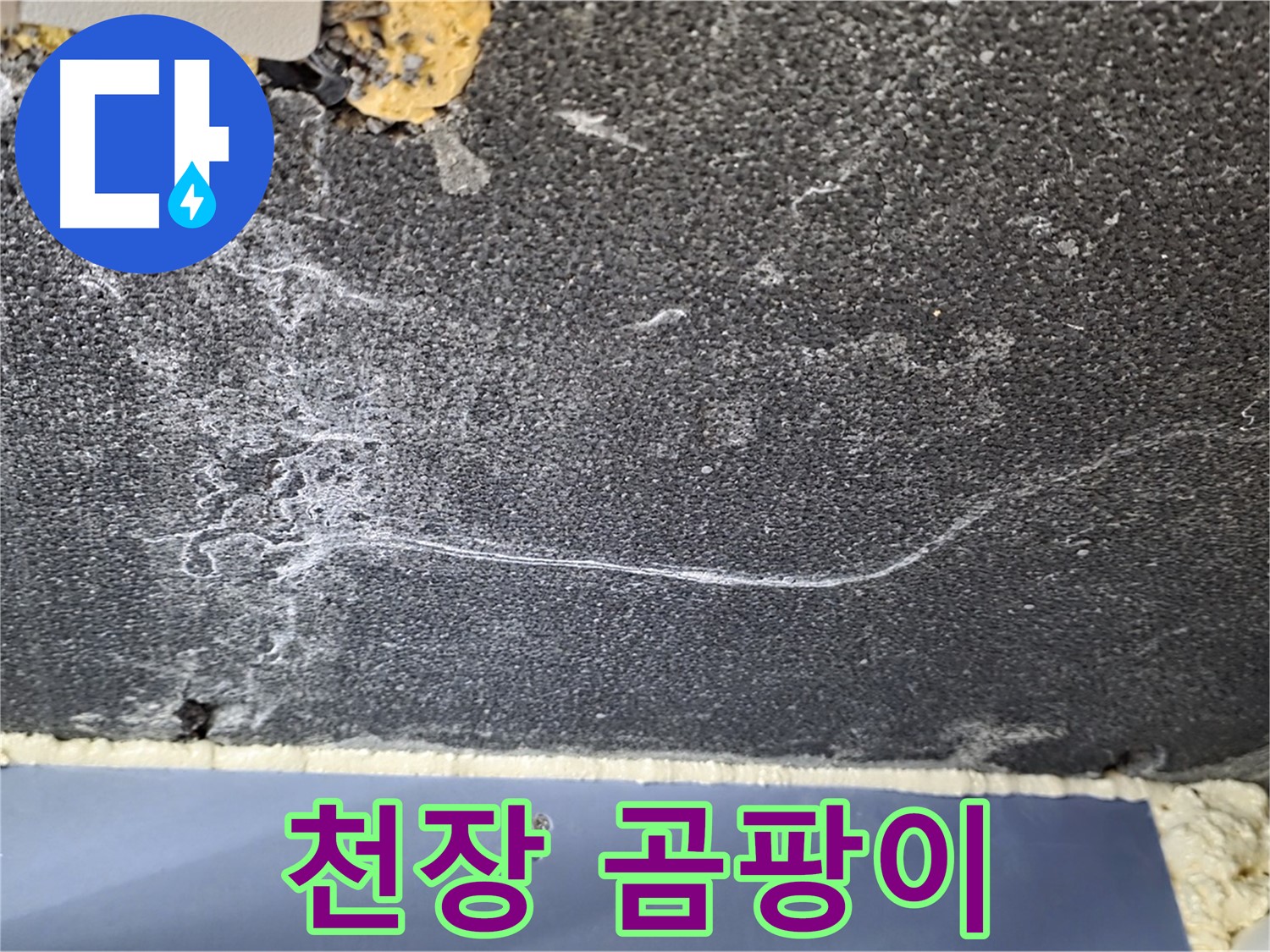 파주시 동패동 운정어반프라임 아파트 천장 누수 - 곰팡이 발생으로 인한 누수 의심
