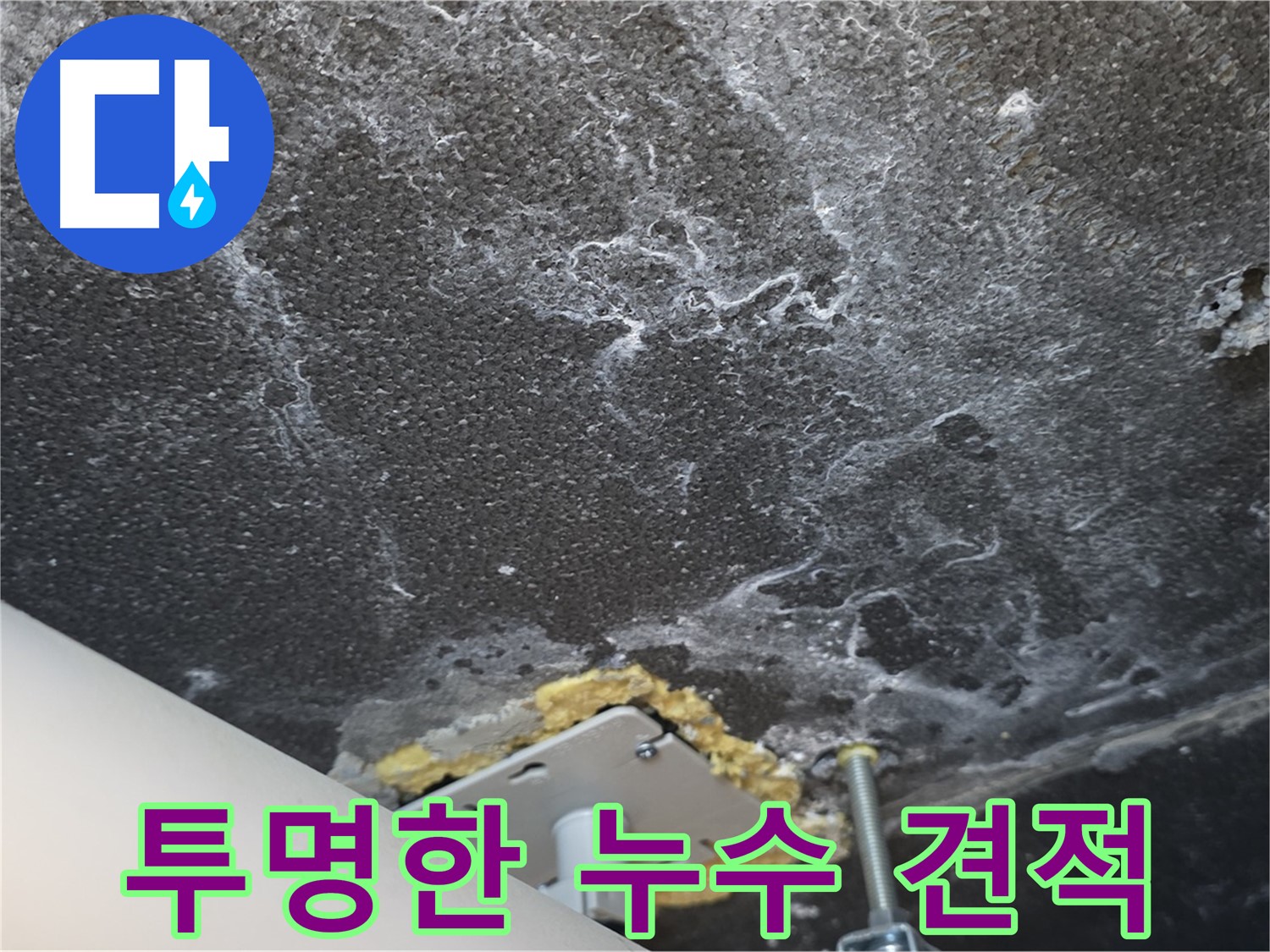 파주시 동패동 천장 누수 - 투명하고 합리적인 견적 제공