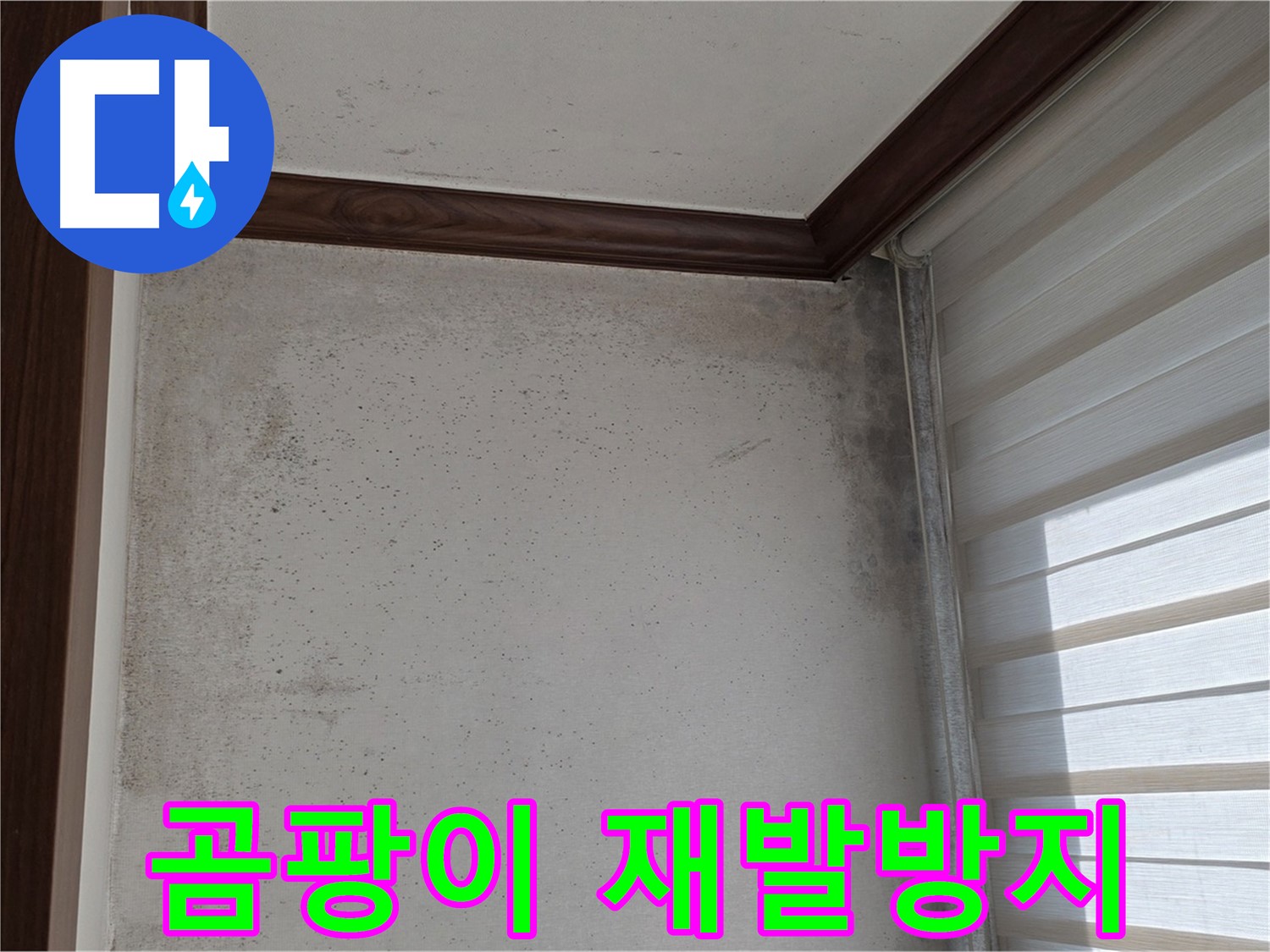 노원구 중계동 곰팡이 누수 - 곰팡이 제거 및 확실한 재발 방지 시공