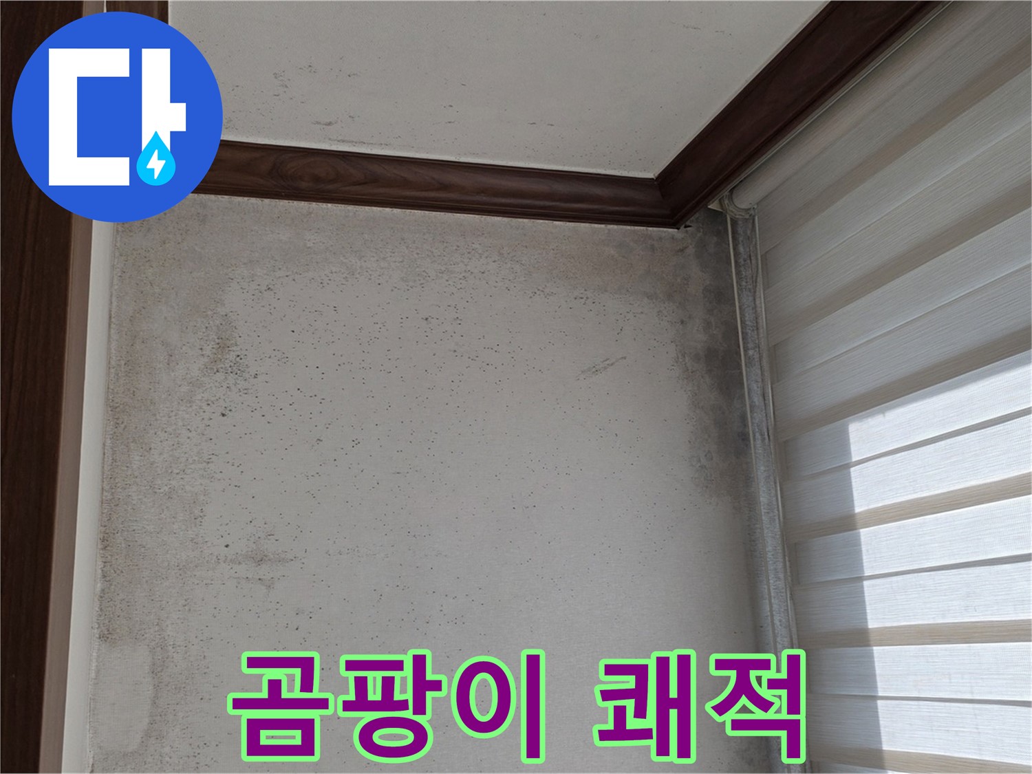 노원구 중계동 곰팡이 누수 - 깨끗하고 쾌적한 주거 환경 조성