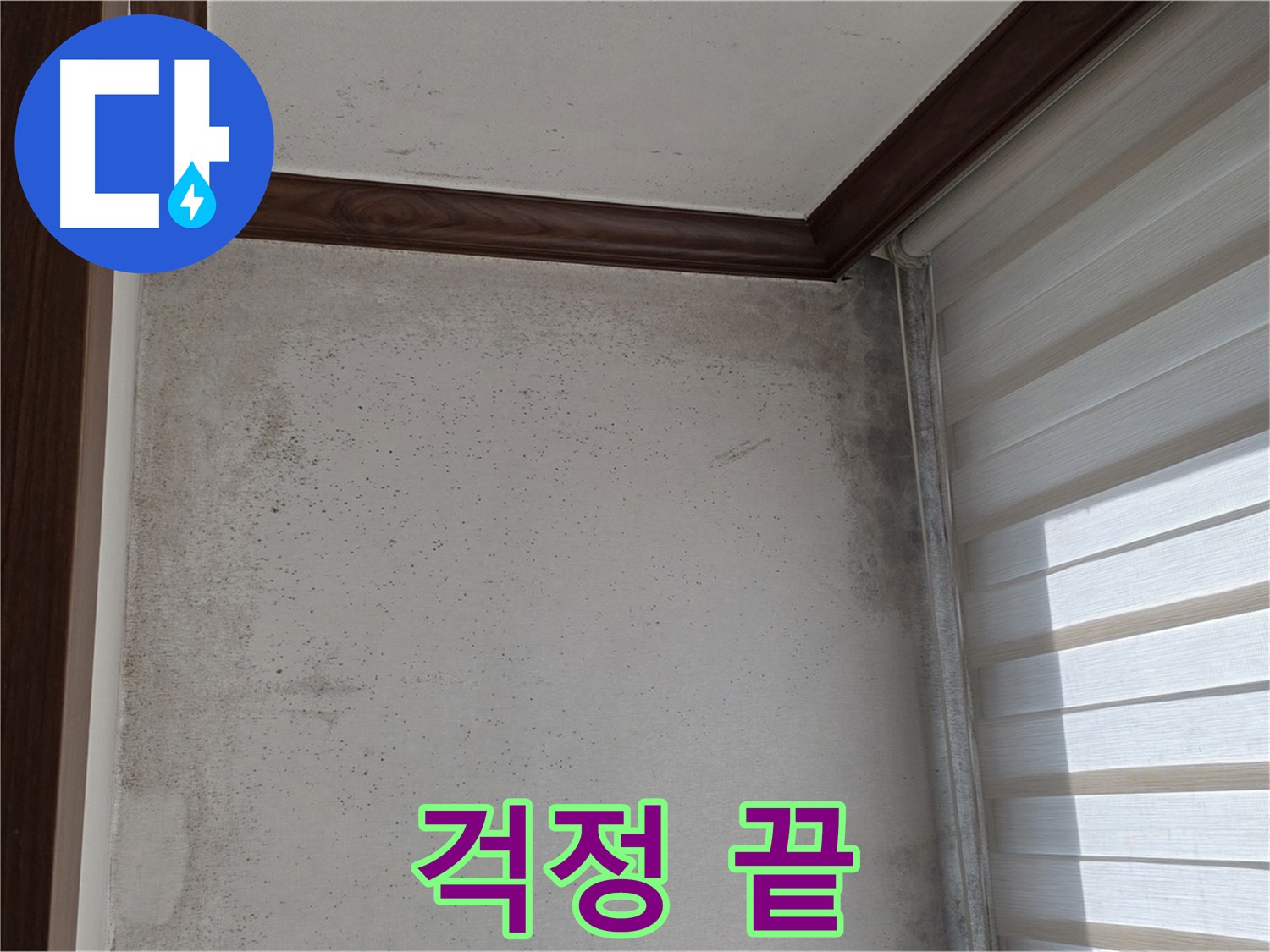 노원구 중계동 현대5차 곰팡이 누수 - 곰팡이, 이제 걱정 끝 - 완벽 해결