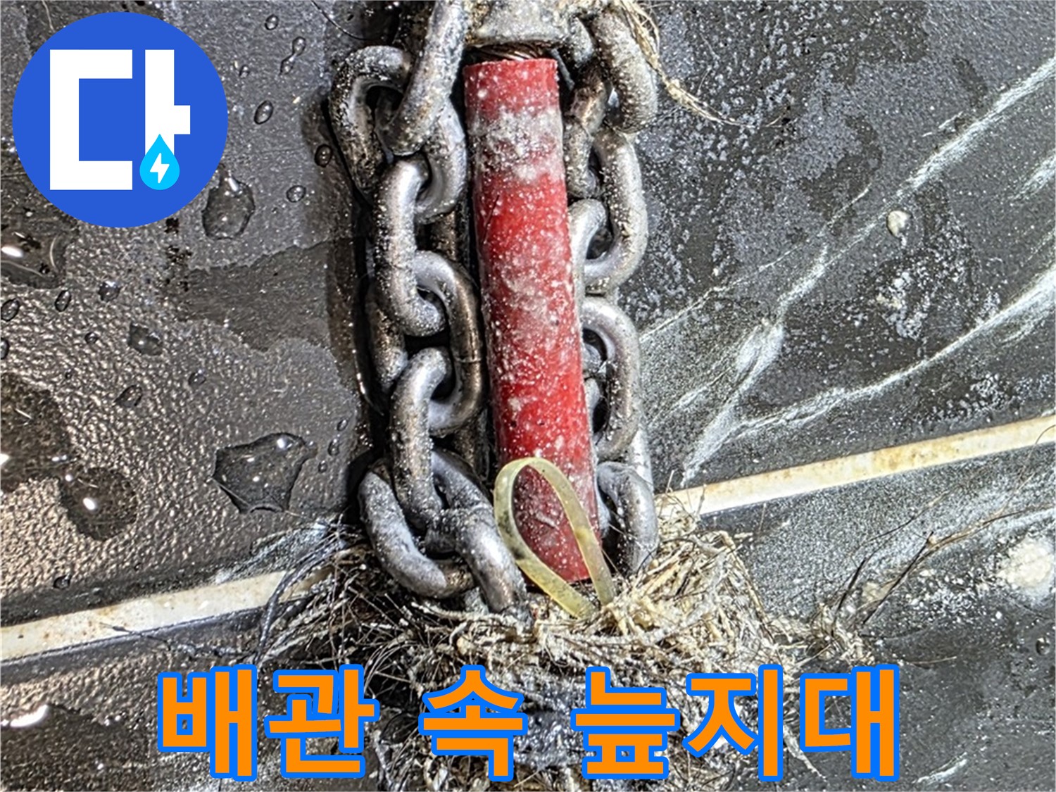 노원구 중계동 현대5차 아파트 누수 - 배관 속 '늪지대'처럼 엉켜있는 이물질 덩어리
