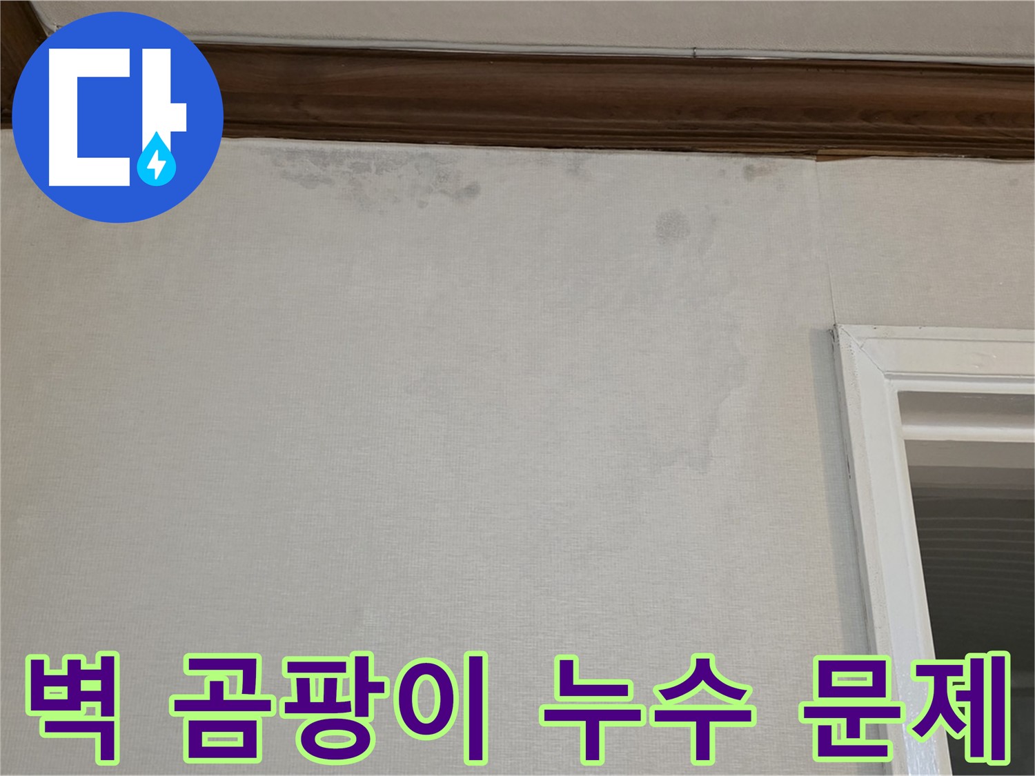 노원구 중계동 현대5차 아파트 벽 곰팡이 문제 - 누수탐지를 통한 원인 해결 과정 소개