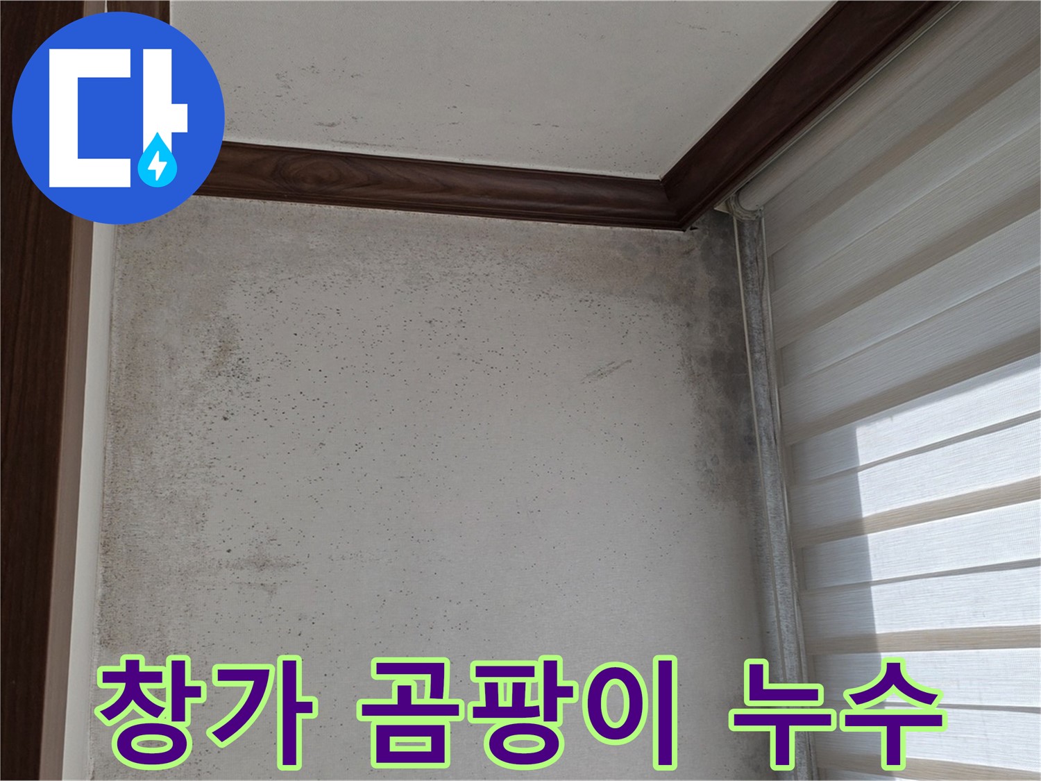 노원구 중계동 현대5차 창가 곰팡이 - 누수 의심 부위 정밀 점검