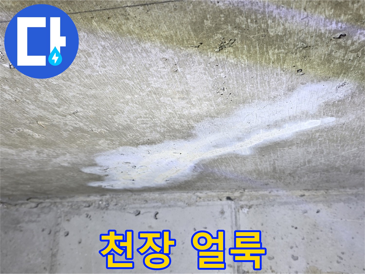 노원구 중계동 현대5차 천장 누수 - 얼룩 발생 - 누수 진행 중