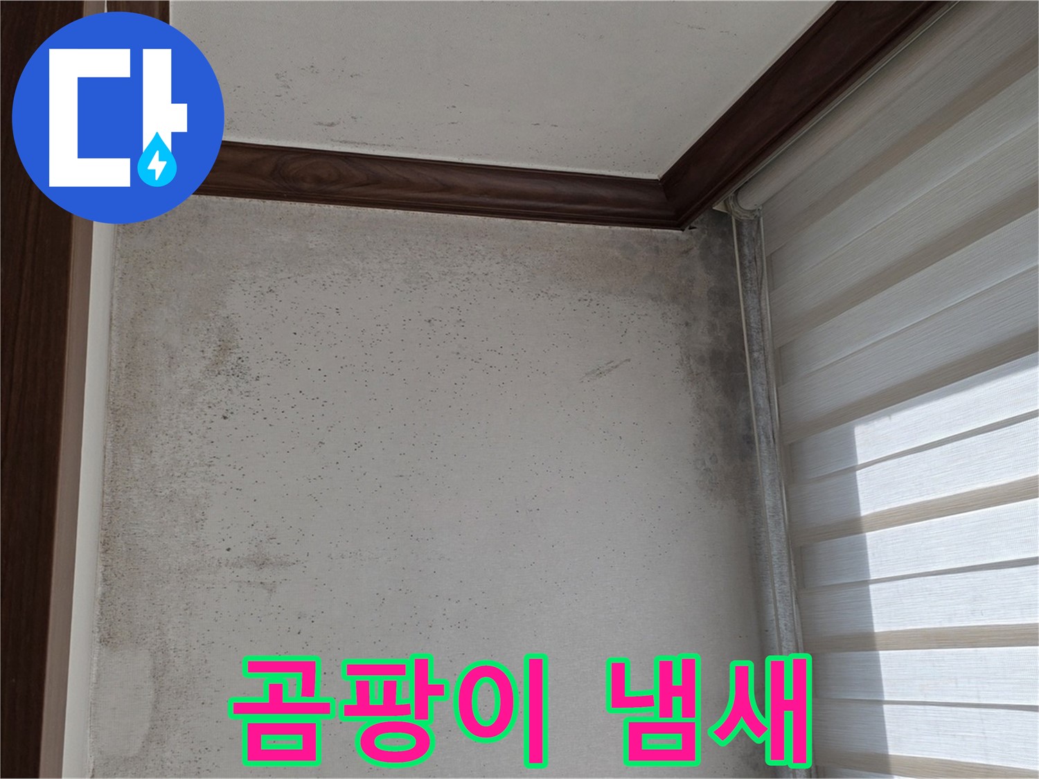 중계2동 현대5차 아파트 곰팡이 누수 - 곰팡이 냄새, 이제 걱정 끝!