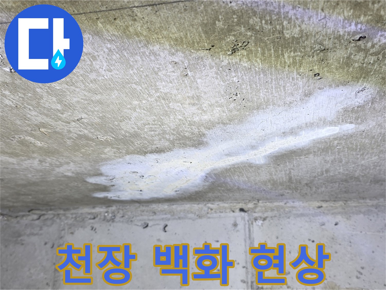 중계2동 현대5차 아파트 천장 백화 현상 - 누수 의심 징후