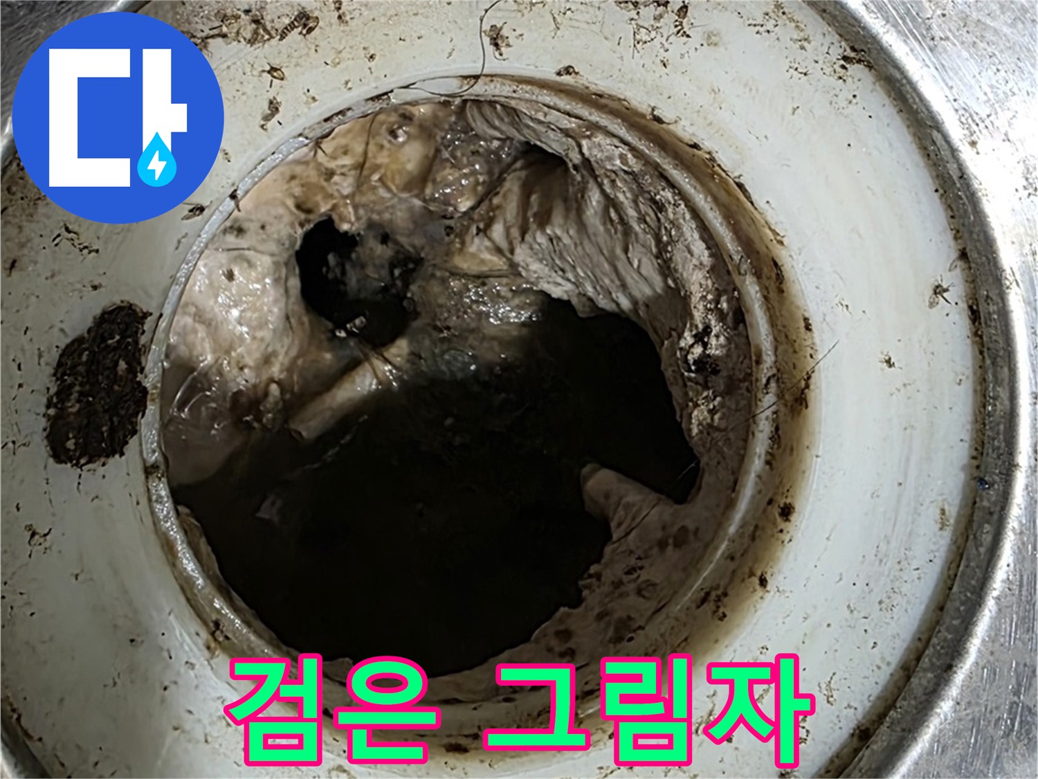 중계동 현대5차 211동 누수 - 배수구 속 검은 그림자 - 악취와 막힘의 원인