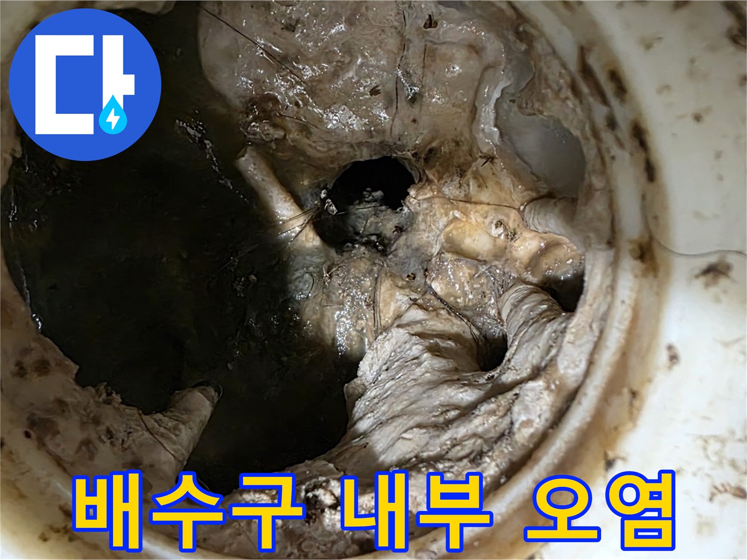 중계동 현대5차 211동 아파트 싱크대 배수구 내부 오염 상태 - 누수 위험