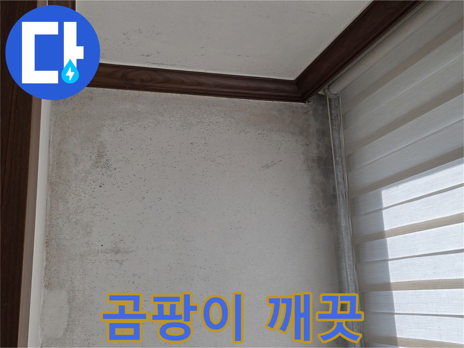 중계동 현대5차 곰팡이 누수 - 곰팡이 없는 깨끗한 집으로 변신