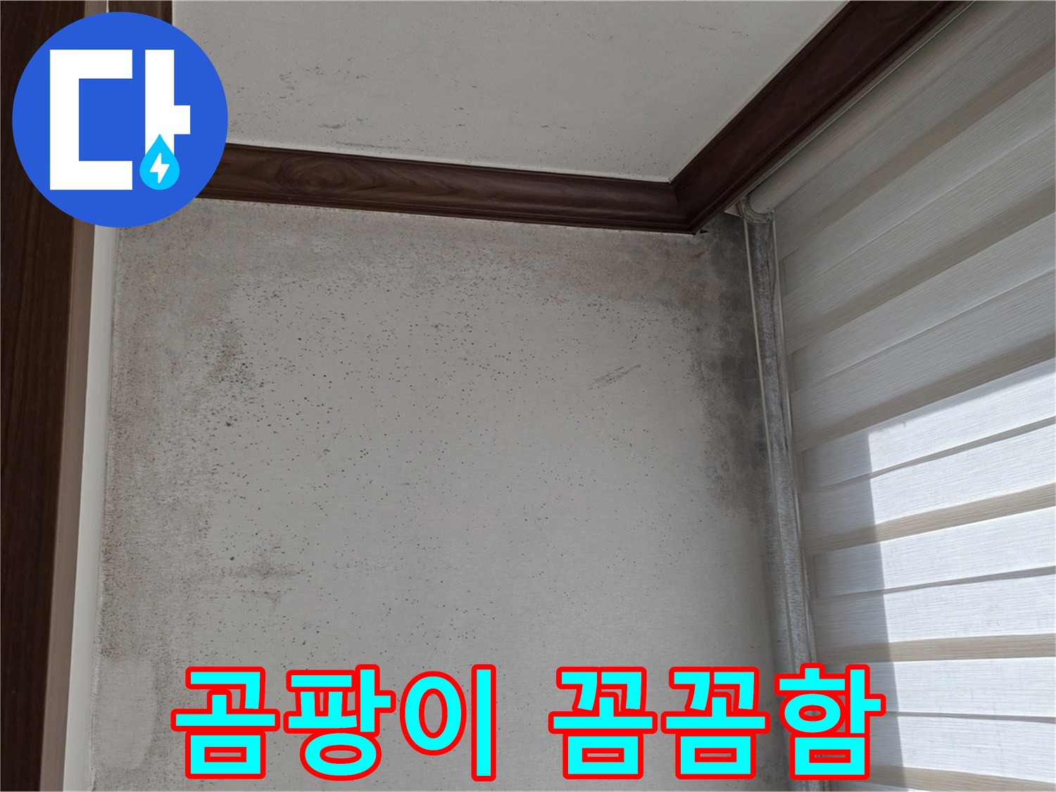 중계동 현대5차 곰팡이 누수 - 꼼꼼한 전문가의 손길로 완벽하게 해결