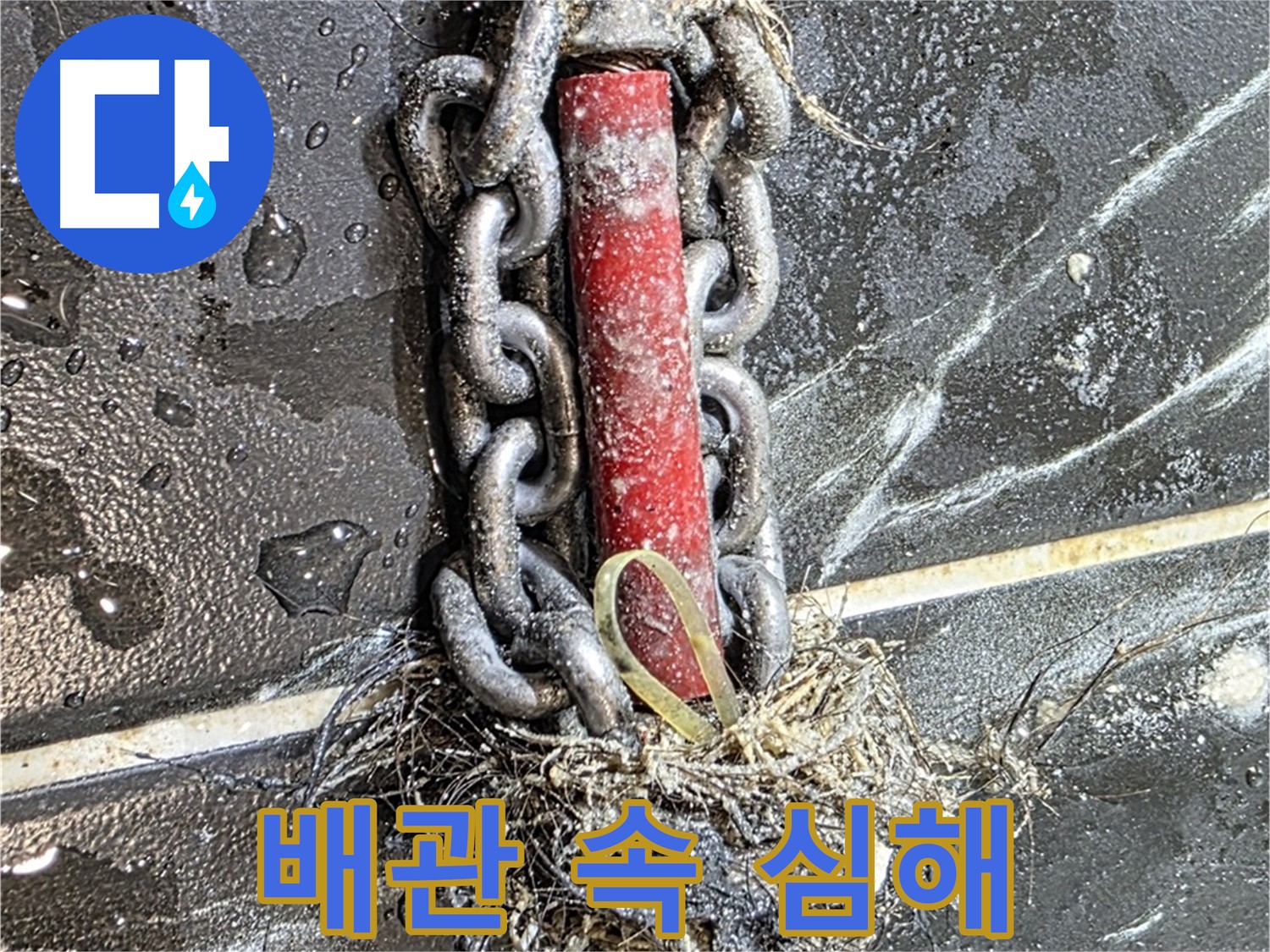 중계동 현대5차 아파트 누수 - 배관 속 '심해'처럼 어둡고 끔찍한 상황
