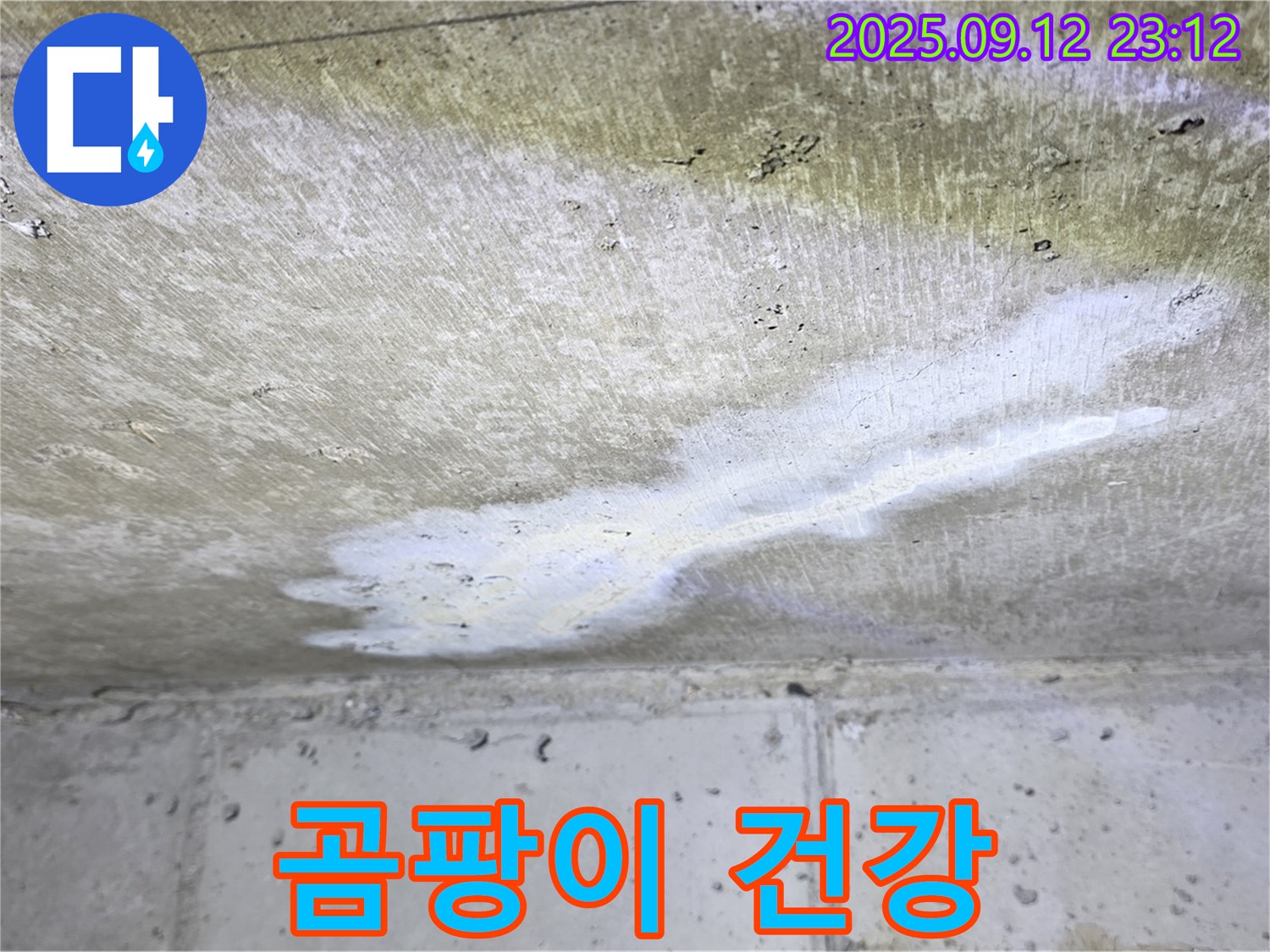 중계동 현대5차 아파트 누수 - 천장 곰팡이 - 가족 건강 적신호 - 긴급 점검