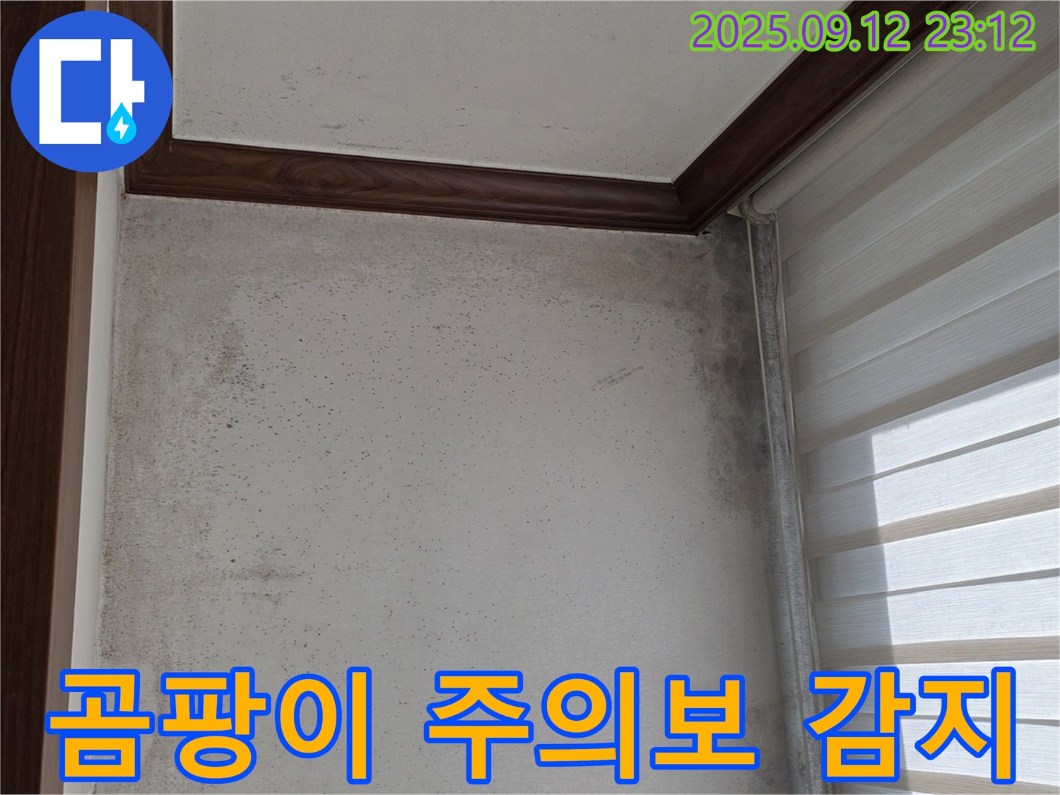 중계동 현대5차 아파트 누수 현장 - 곰팡이 발생으로 누수 위험 신호를 감지하고 정밀 점검을 실시하는 모습입니다.