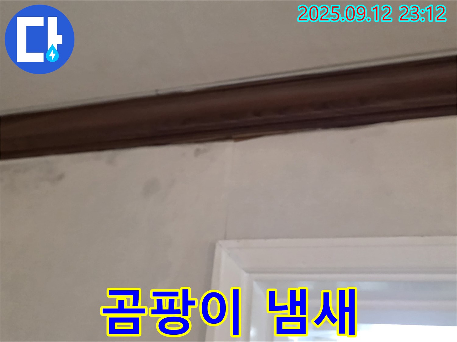 중계동 현대5차 아파트 벽면 누수 - 곰팡이 냄새