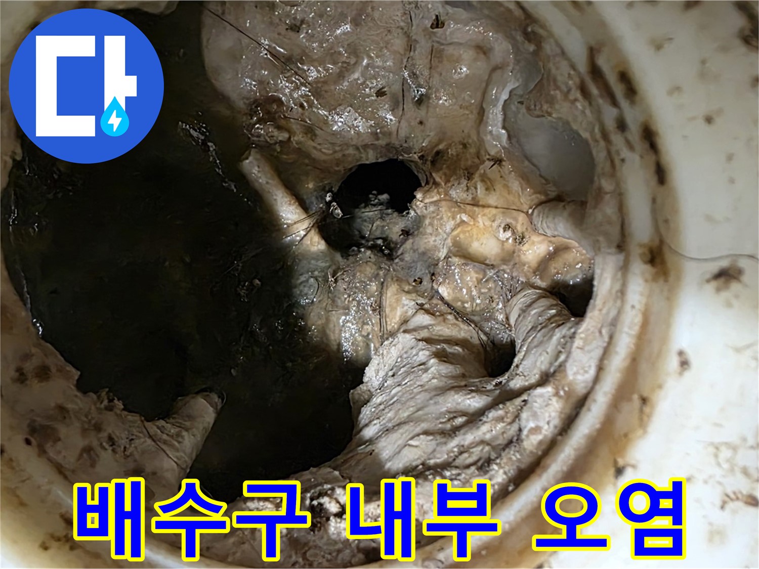 중계동 현대5차 아파트 싱크대 배수구 내부 오염 상태 - 누수 위험