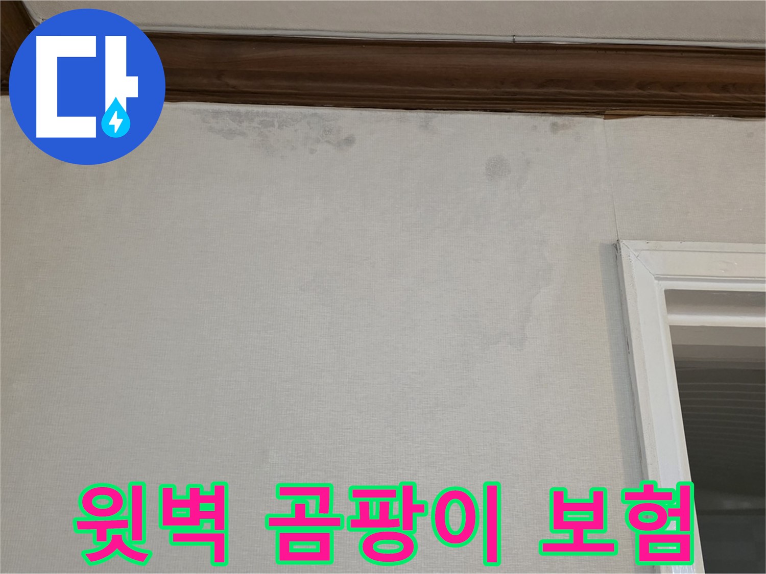 중계동 현대5차 아파트 윗벽 곰팡이 - 누수 보험 처리 대행