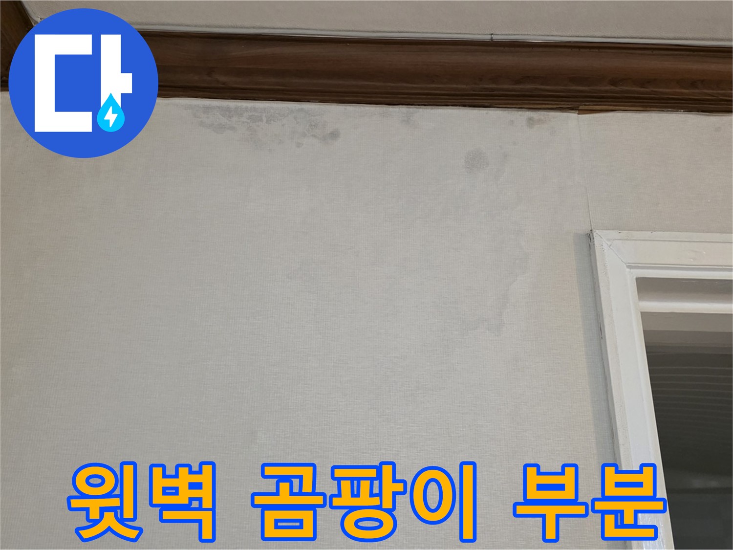 중계동 현대5차 아파트 윗벽 곰팡이 - 부분 공사로 비용 절감