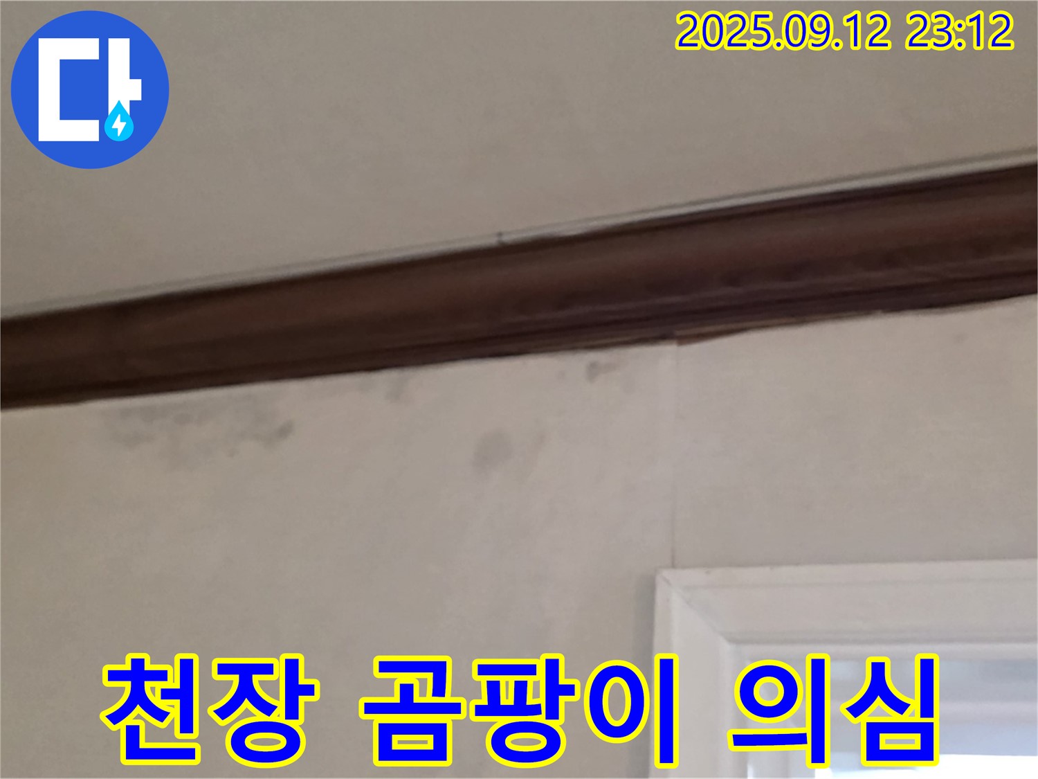 중계동 현대5차 아파트 천장 누수 의심 - 곰팡이 냄새와 누수 흔적 긴급 점검