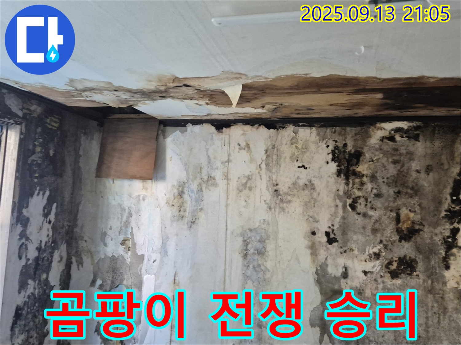 도봉구 덕릉로54가길 주택의 곰팡이 문제 해결 - 곰팡이와의 전쟁에서 승리한 깨끗한 집 내부를 보여주는 이미지입니다.
