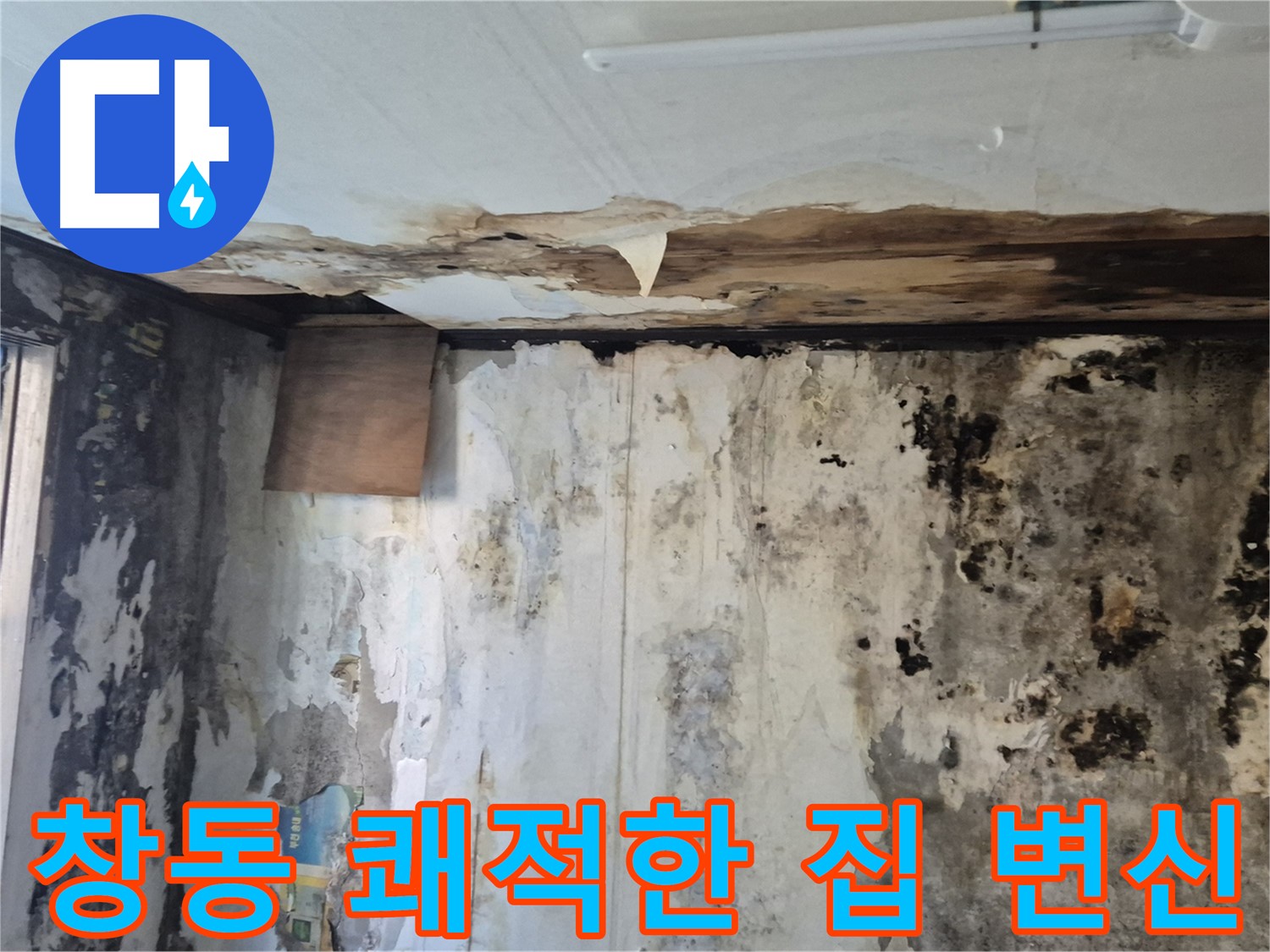 도봉구 창동 곰팡이 누수 해결 과정 - 누수 원인 진단부터 완벽한 시공까지 꼼꼼하게 담았습니다.