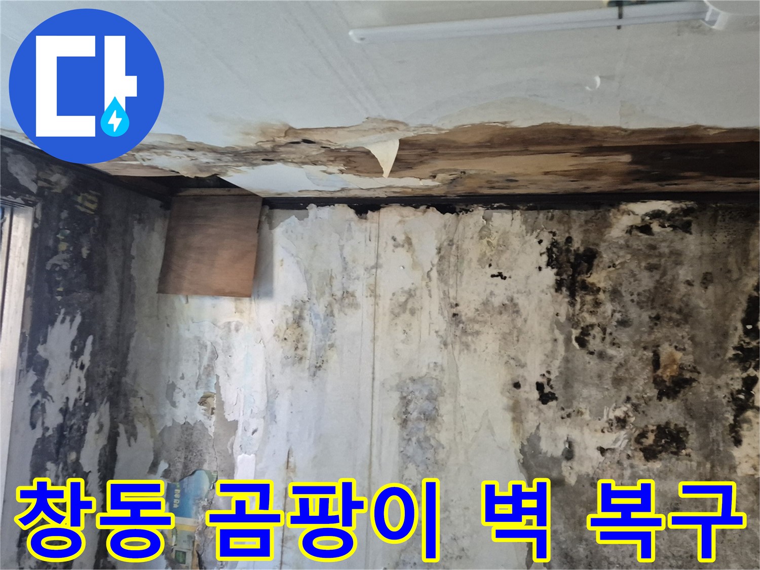 도봉구 창동 주택의 곰팡이 핀 벽 복구 과정 - 누수 원인 진단부터 완벽한 시공까지 꼼꼼하게 담았습니다.