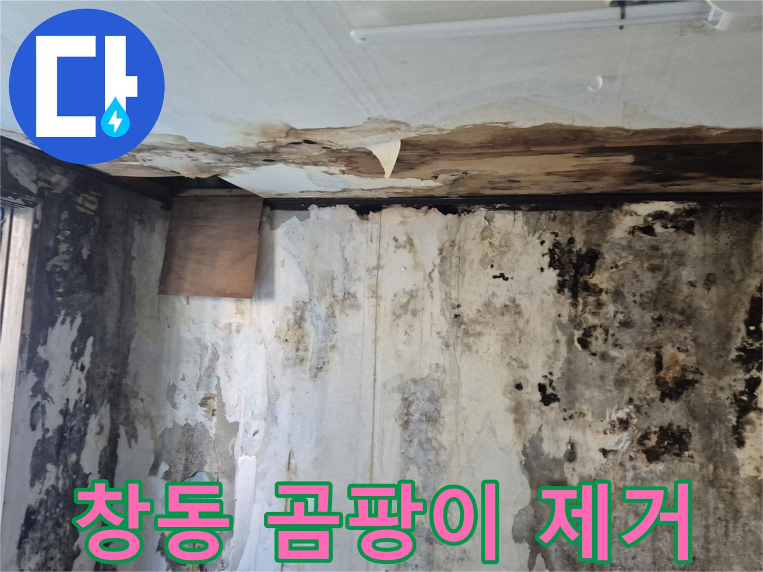 창동 주택의 곰팡이 문제 해결 과정 - 누수 원인 진단부터 곰팡이 제거, 완벽한 시공까지 담았습니다.
