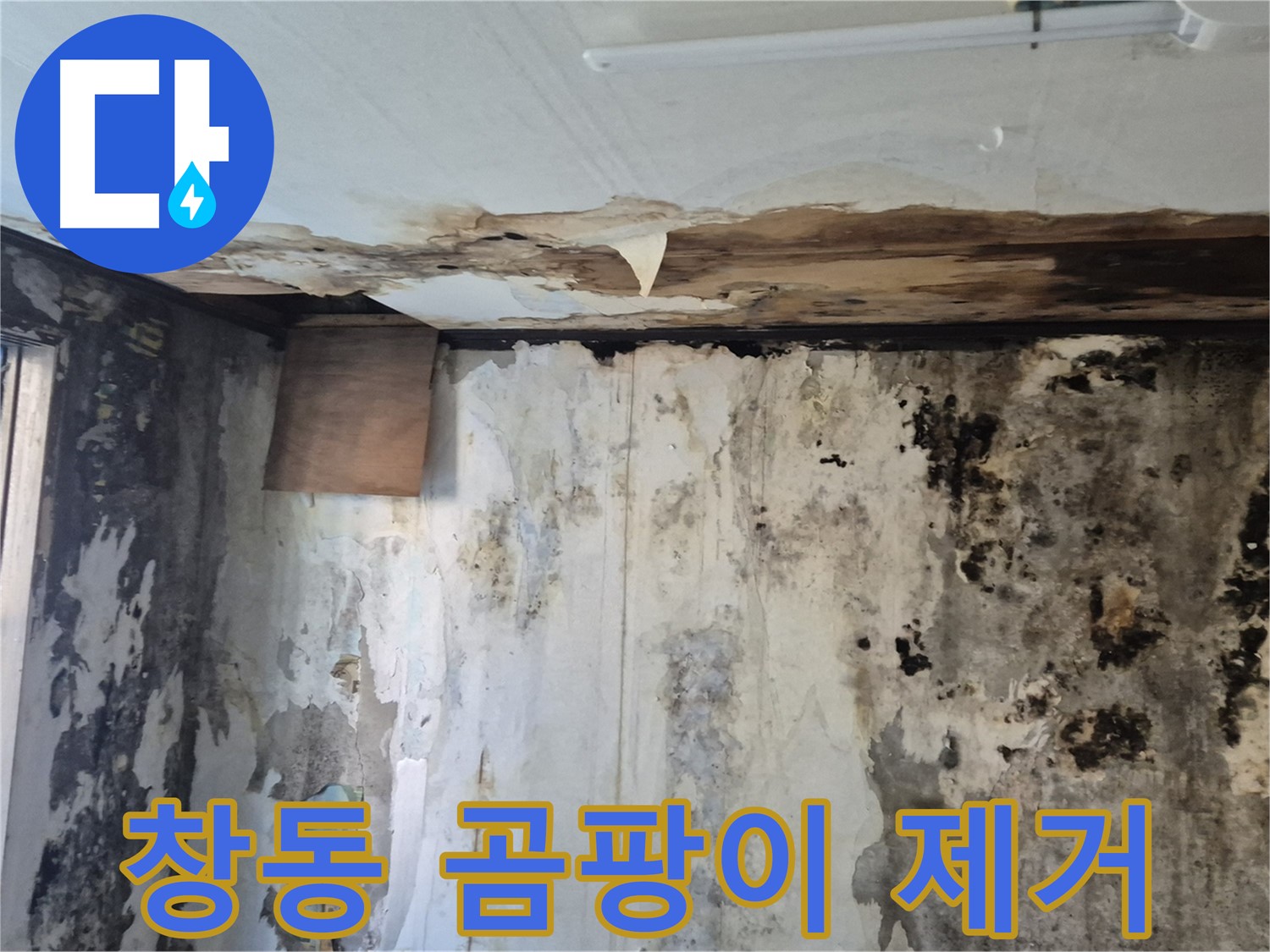 창동 주택의 곰팡이 문제 해결 과정 - 누수 원인 진단부터 곰팡이 제거, 완벽한 시공까지 담았습니다.