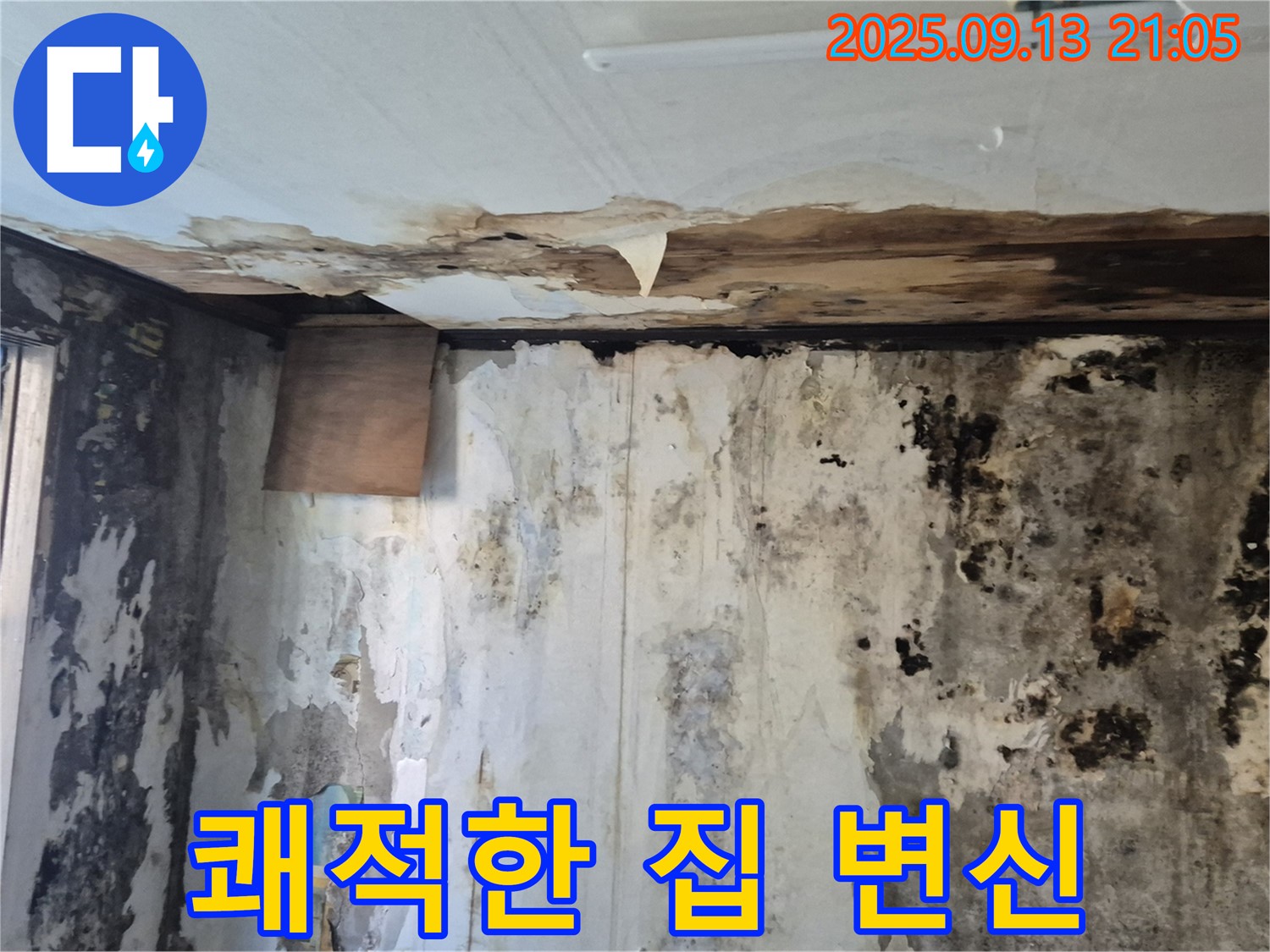 창동 주택의 곰팡이 문제 해결 - 쾌적한 우리 집으로 변신한 모습을 담은 생생한 이미지입니다.