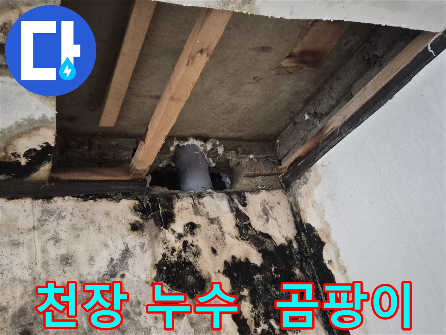 천장 누수 발생으로 인한 곰팡이 - 누수 원인 파악 및 해결 과정