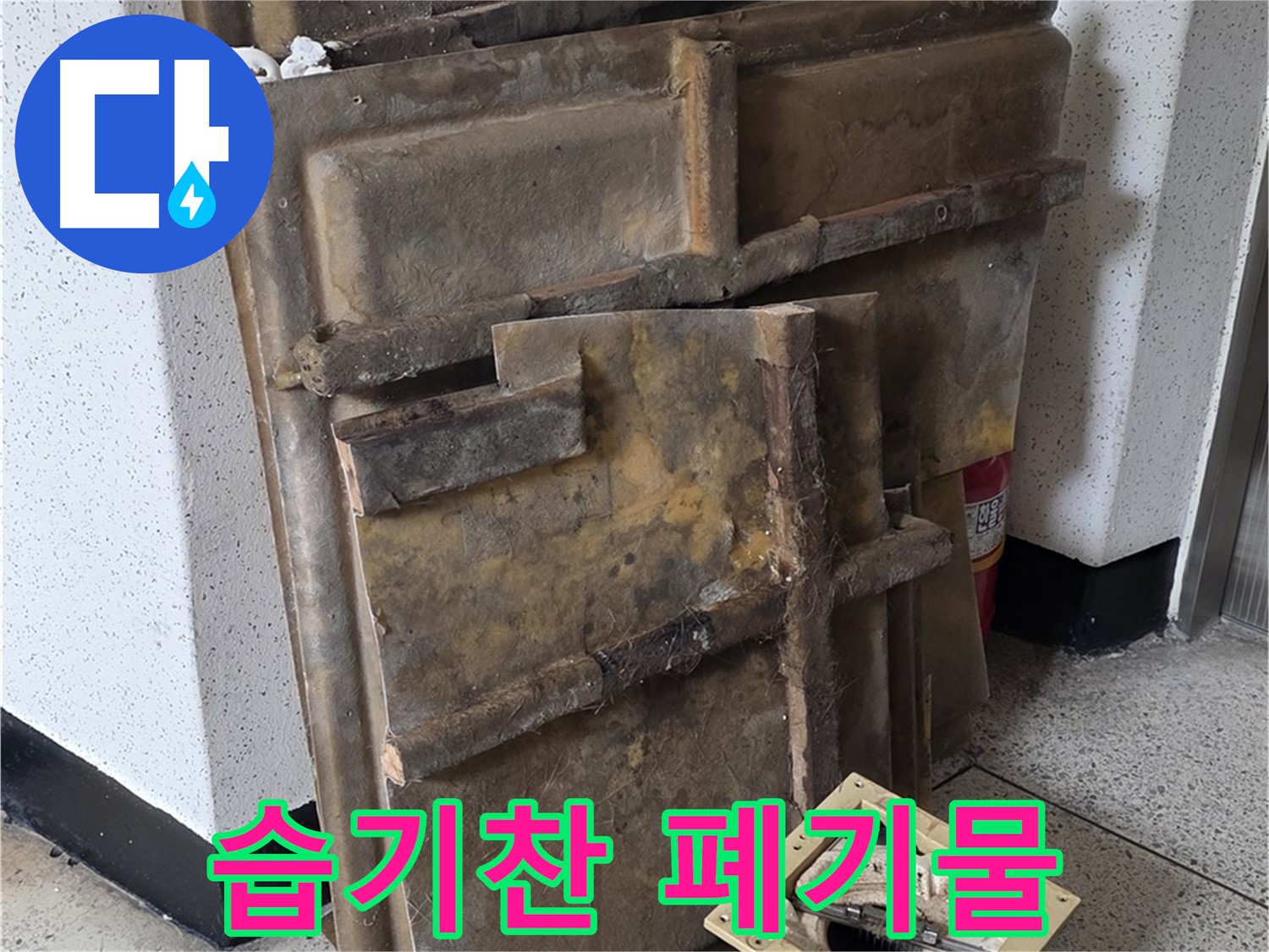 곰팡이 냄새와 습기로 가득 찬 석고보드
