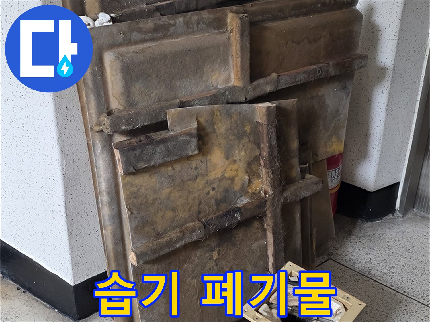 곰팡이 냄새와 습기를 머금은 석고보드와 조명