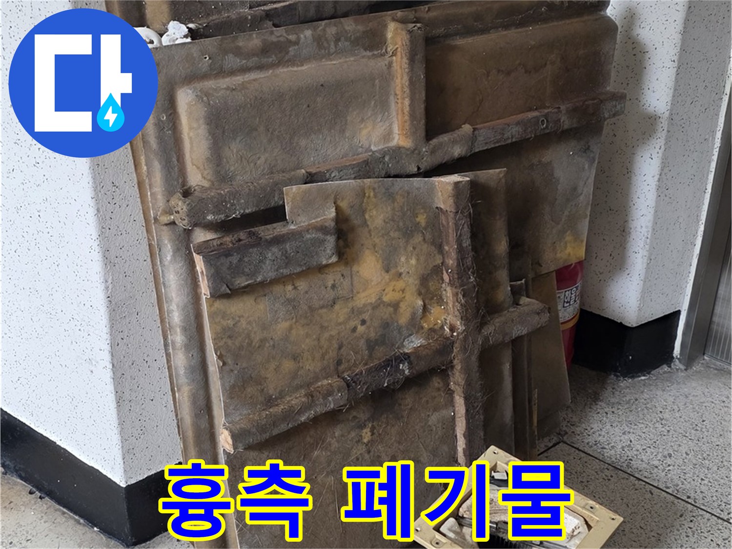 곰팡이 얼룩덜룩 흉측한 모습