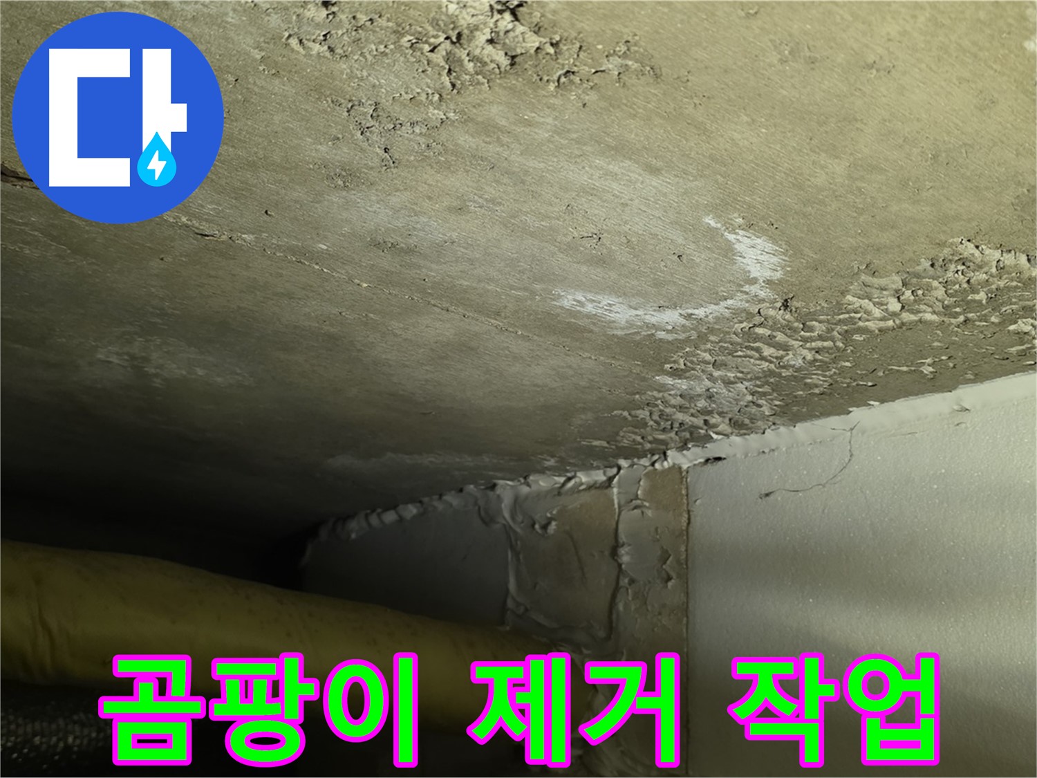 곰팡이 제거 작업 - 쾌적한 환경 - 건강 보호