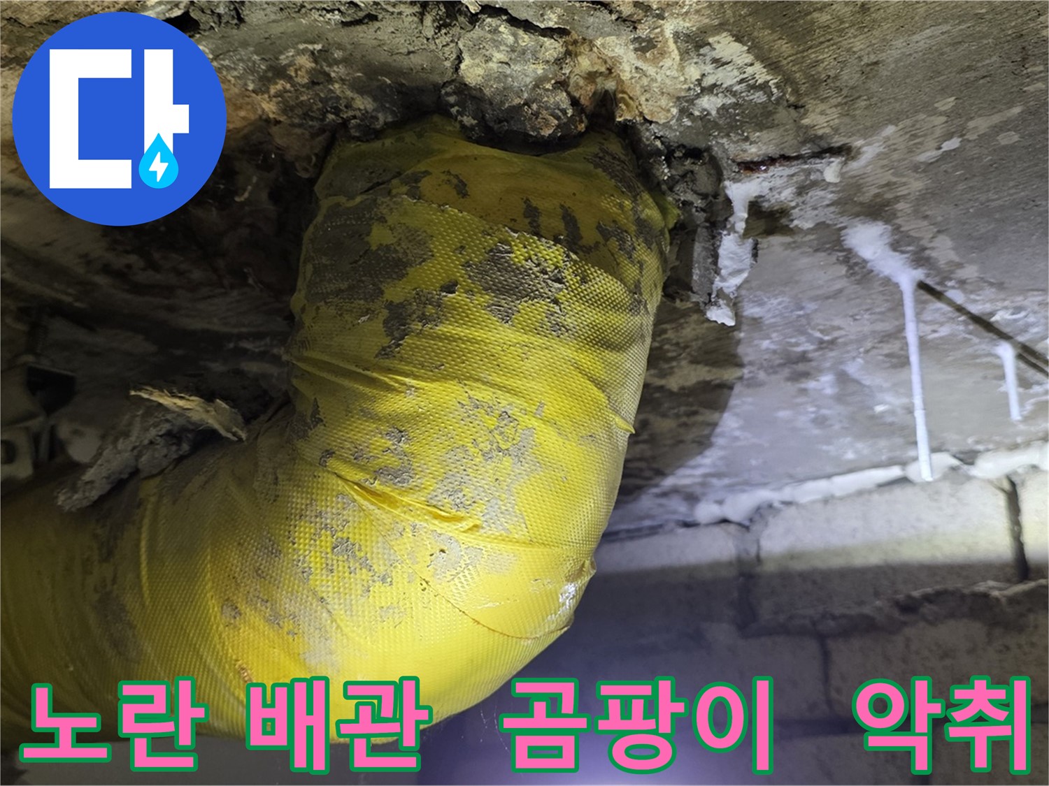 노란 배관의 악몽, 곰팡이와 악취 - 신사동 새절역 인근 누수