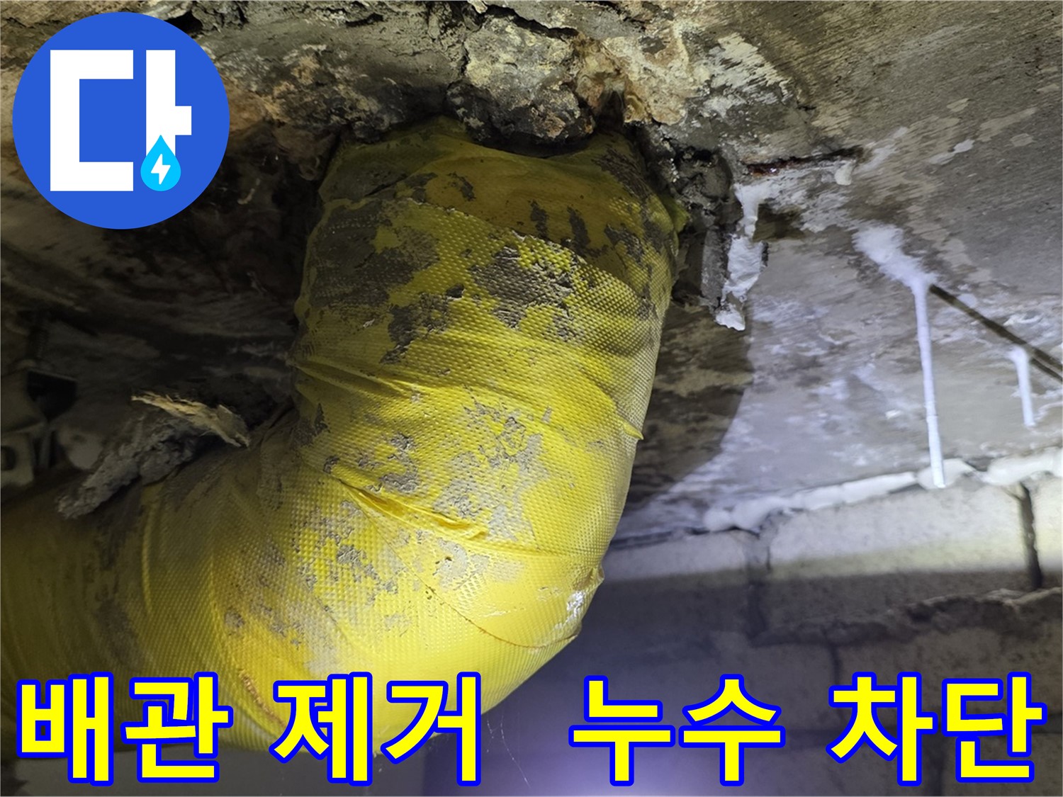 누수 완벽 차단 - 서울 은평구 신사동 누수, 낡은 노란 배관 OUT, 곰팡이 완전 정복