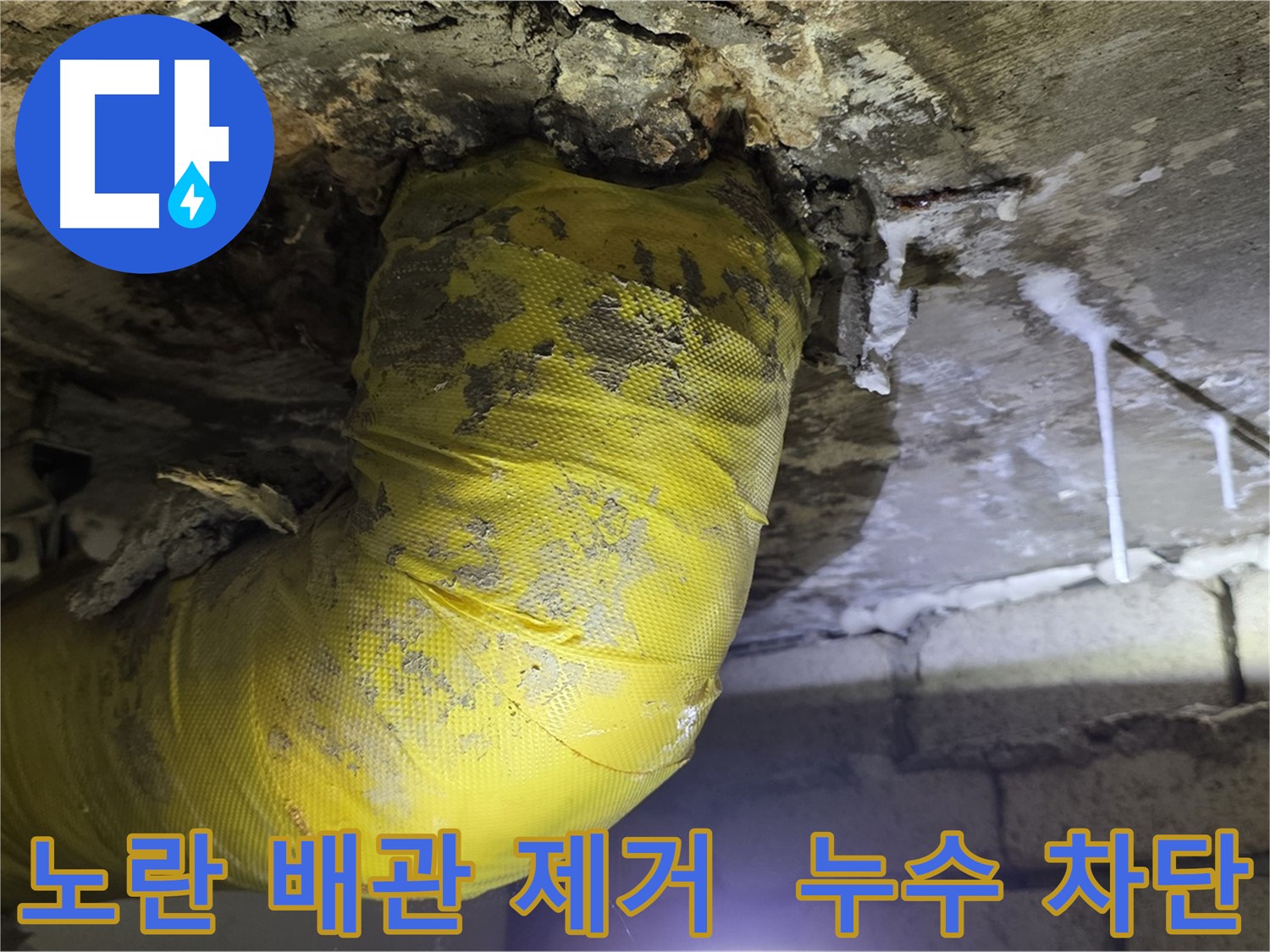 누수 완벽 차단 - 은평구 신사동 누수, 낡은 노란 배관 제거, 곰팡이 완전 정복