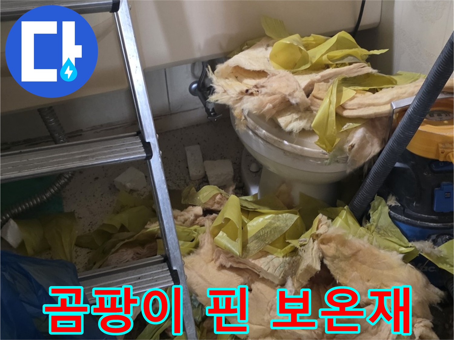 곰팡이 핀 보온재 - 은평구 신사동 누수