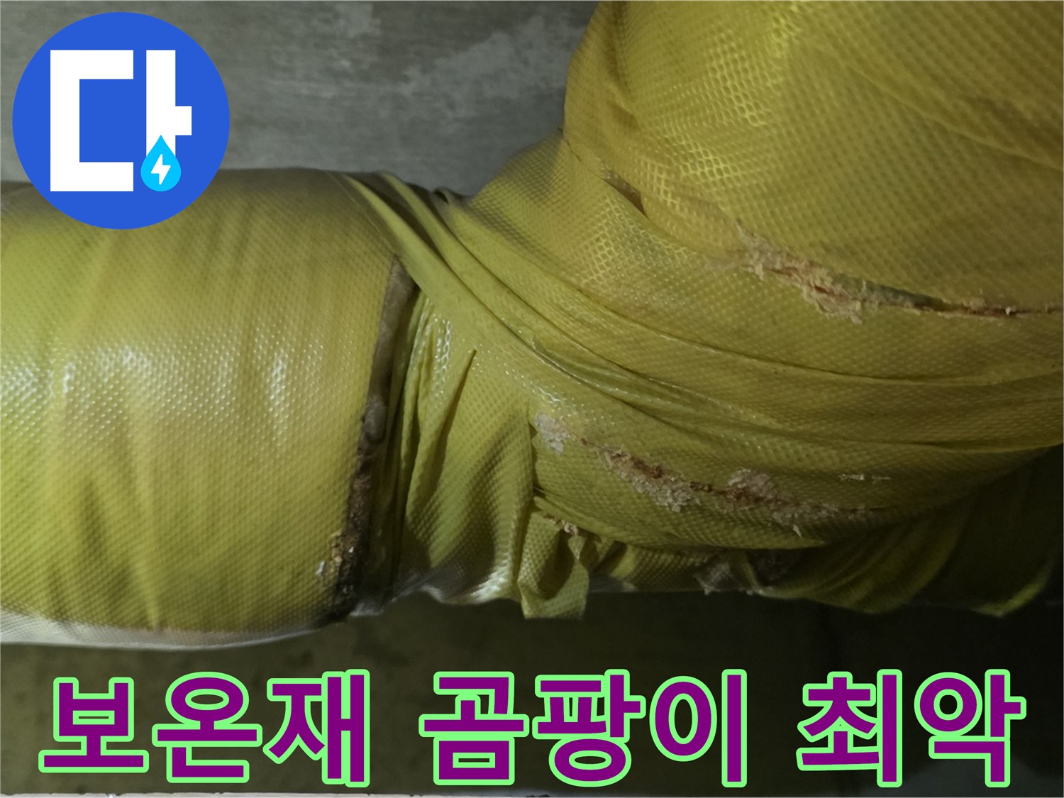 보온재 속 곰팡이 - 실내 공기 최악, 건강 위협 심각, 전문적인 관리 시급