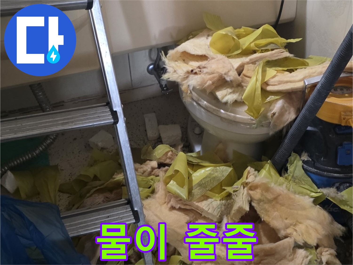 새절 누수 현장 - 물이 새는 배관, 곰팡이 슬기 좋은 환경 - 즉시 조치