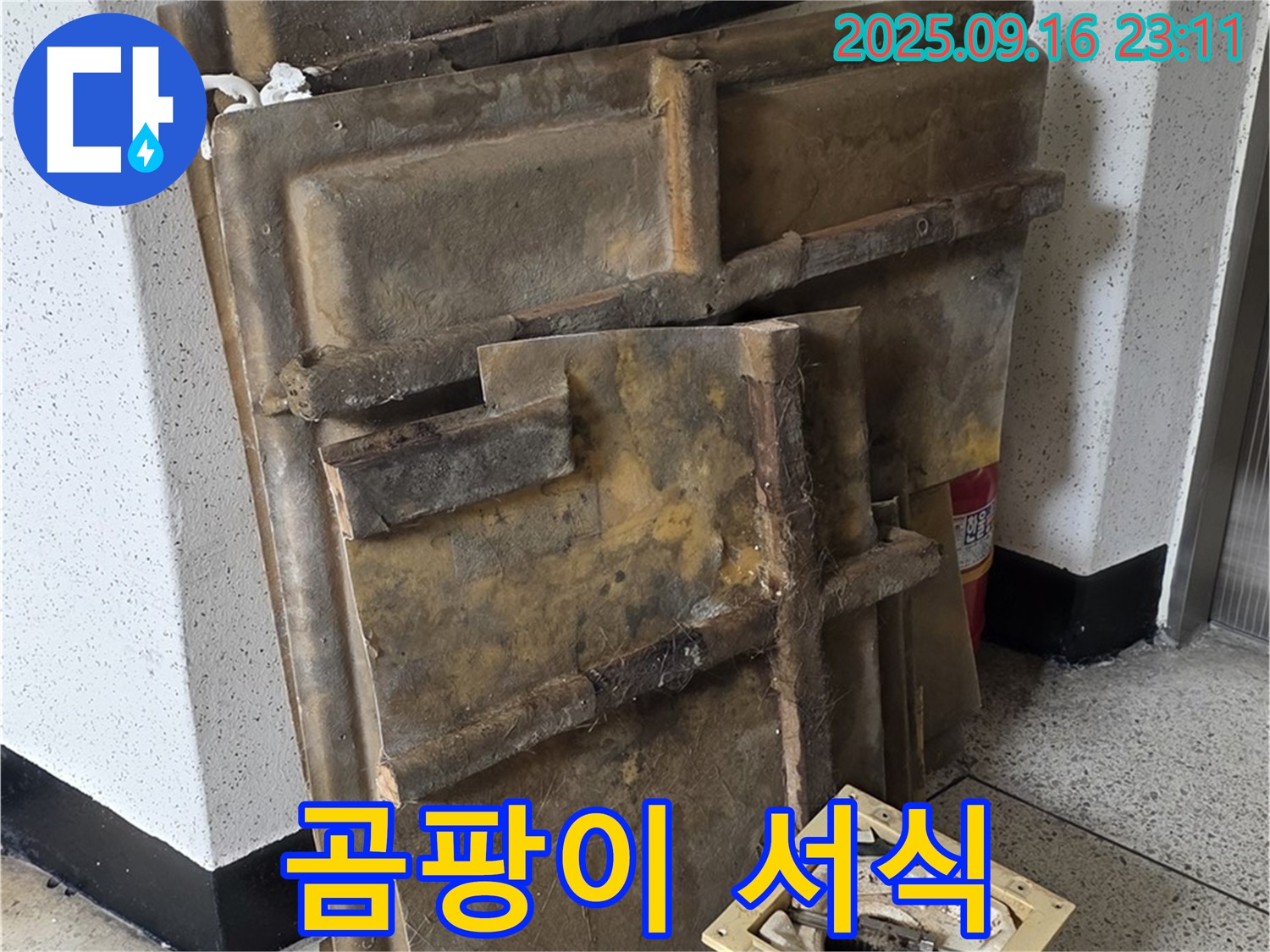 새절역 현대아파트 누수 - 곰팡이 서식지가 된 폐기될 텍스와 조명