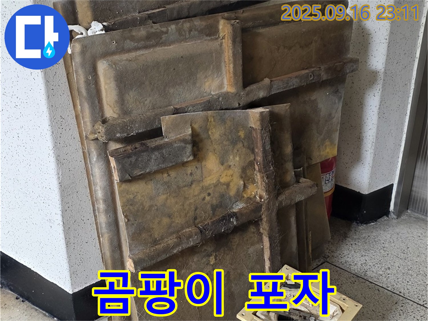 새절역 현대아파트 누수 - 곰팡이 포자가 가득한 폐기될 텍스와 조명