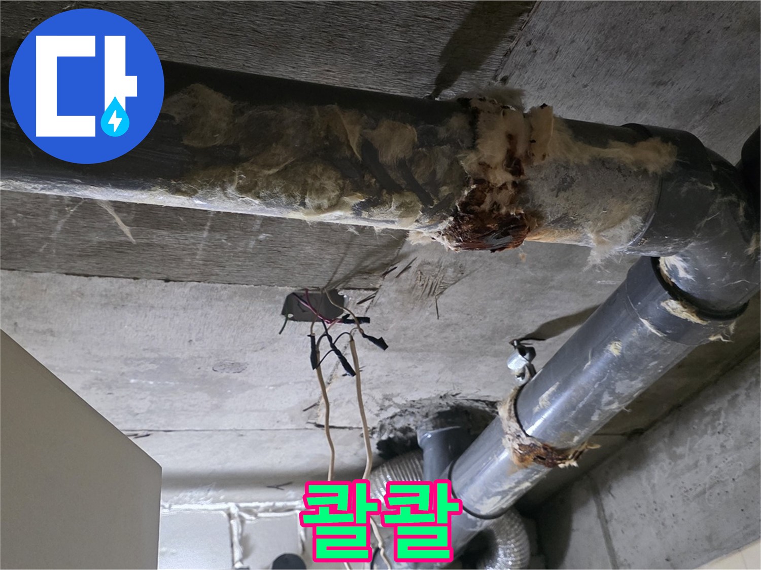 새절역 현대아파트 누수 - 오수 배관 파손 누수 해결 완료 - 물 멈춤