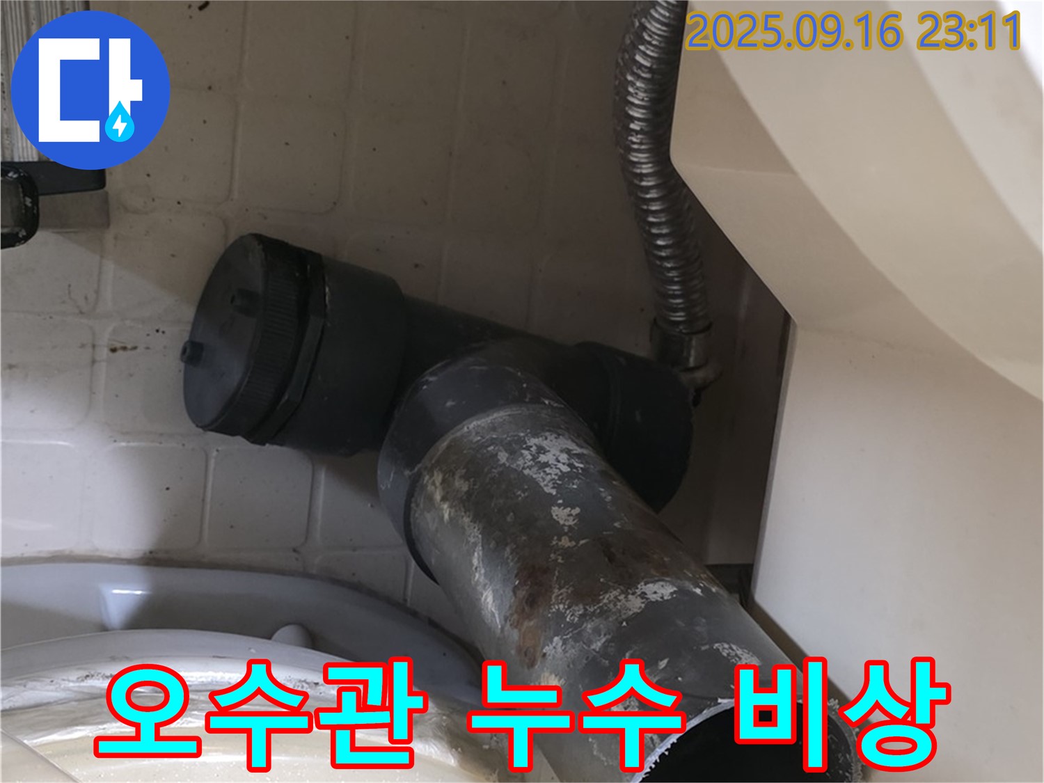새절역 현대아파트 - 변기 오수관 누수 비상 - 은평구 신사동 긴급 누수