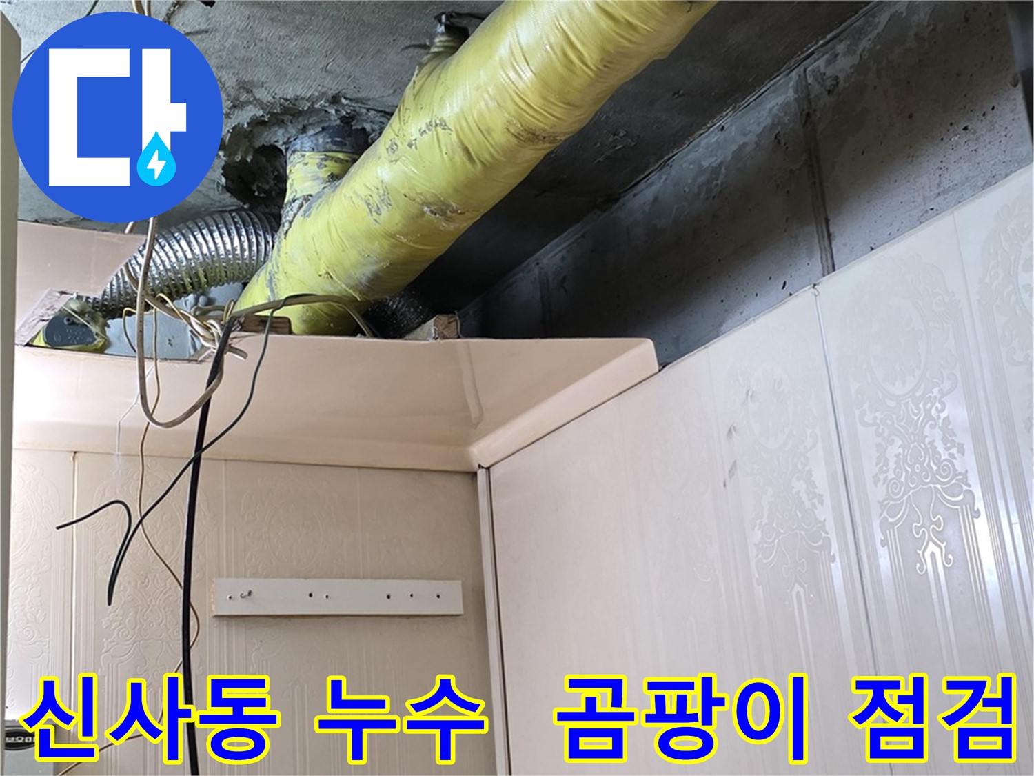 신사동 누수 - 배관 주변의 습기로 인한 곰팡이 발생 가능성 사전 점검