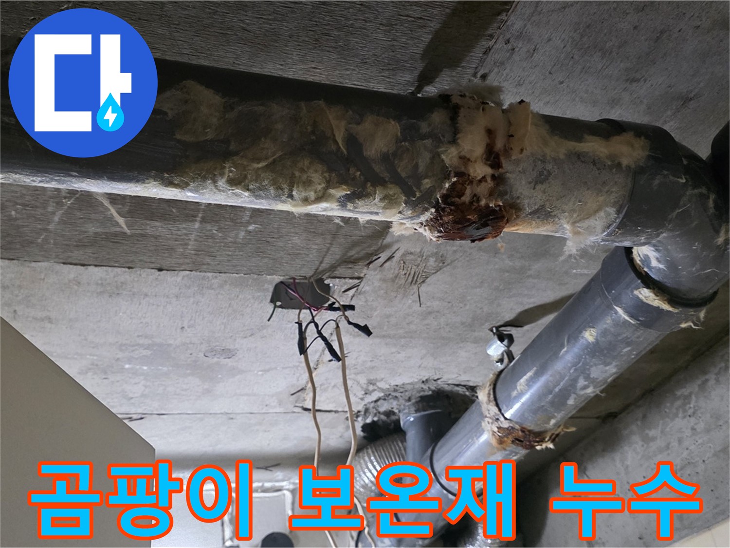 신사동 새절역현대아파트 누수 - 곰팡이 핀 낡은 오수 배관 보온재