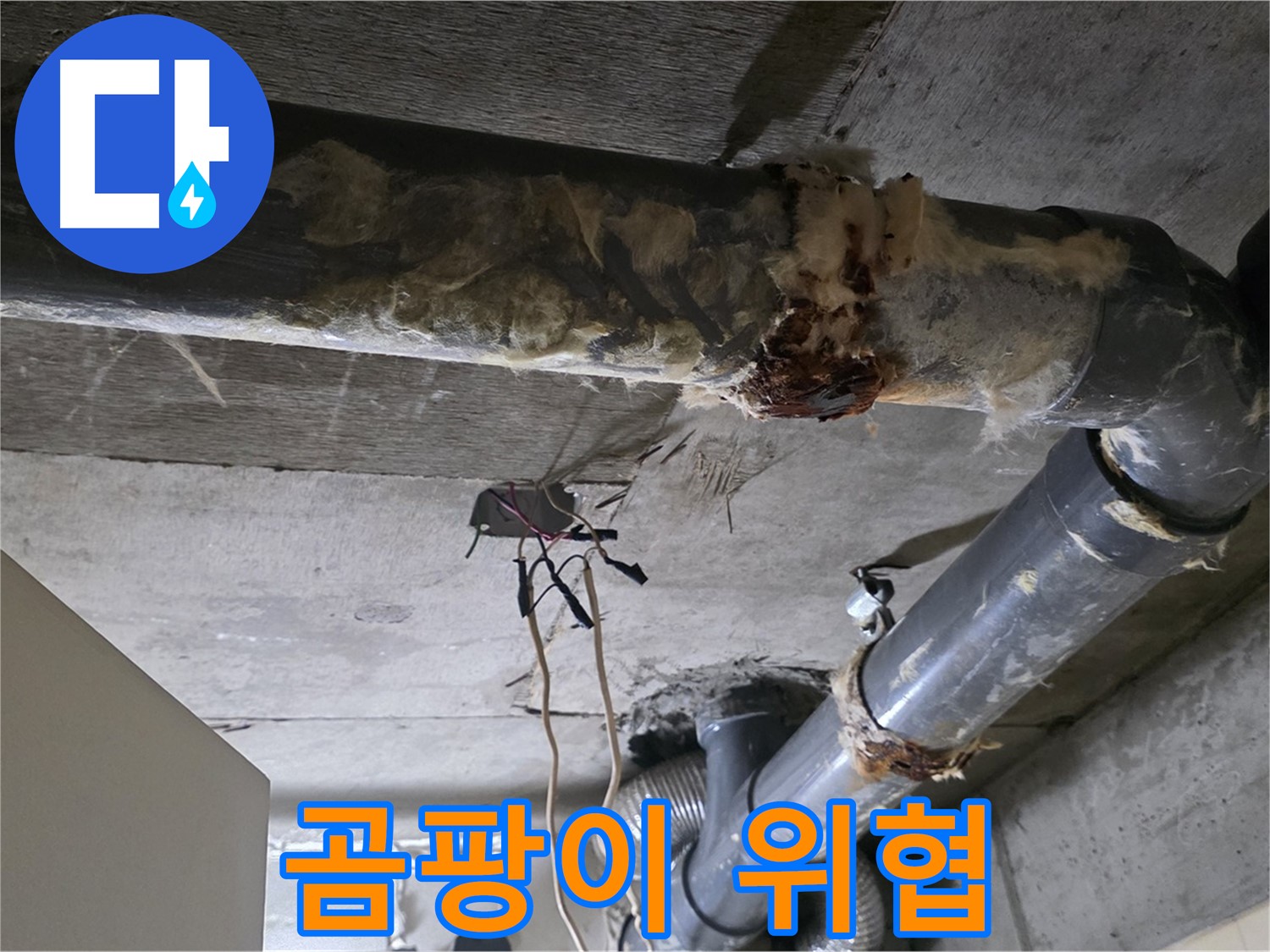 신사동 새절역현대아파트 누수 - 곰팡이 핀 오수 배관 보온재 - 건강 위협