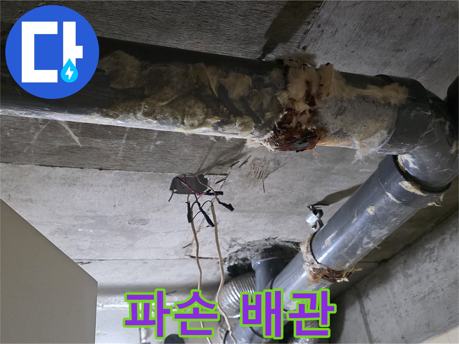 신사동 새절역현대아파트 누수 - 오수 배관 파손 긴급 수리 - 빠른 수리가 중요합니다