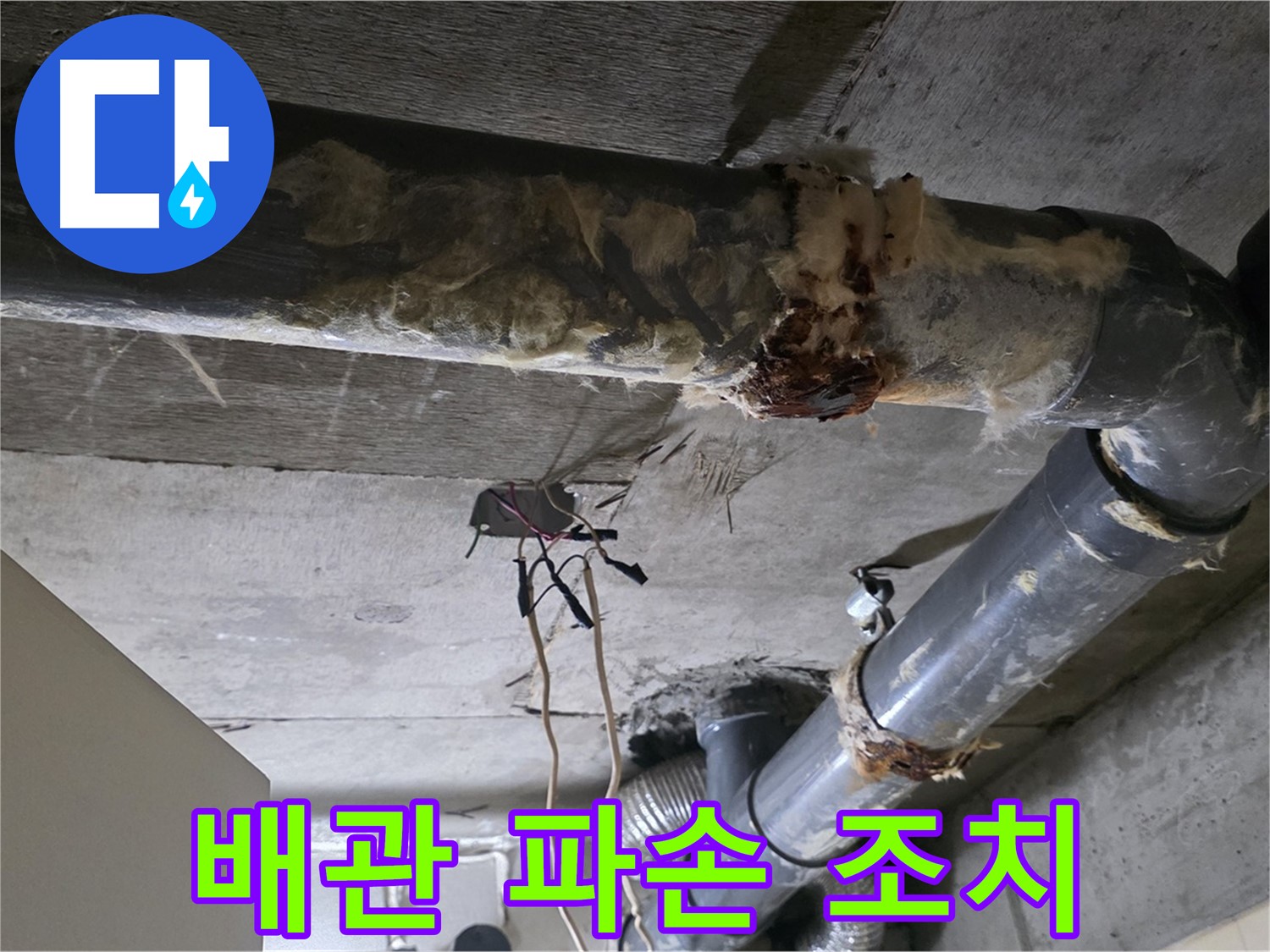 신사동 새절역현대아파트 누수 - 오수 배관 파손 빠른 조치