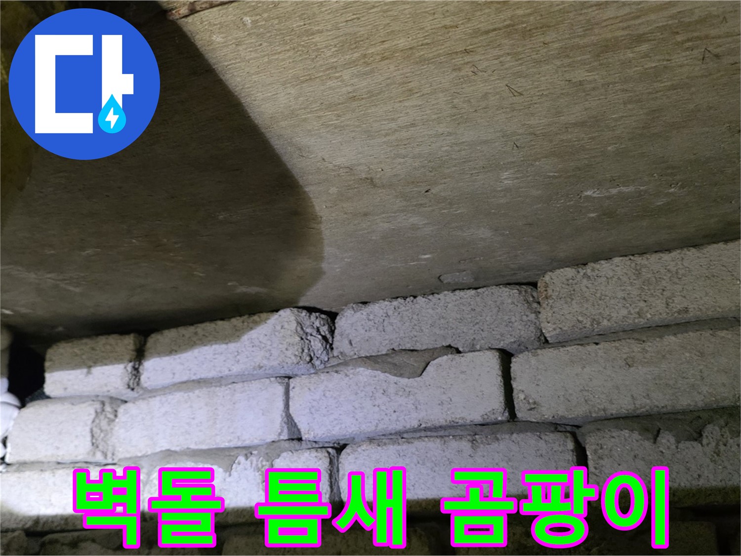 신사동 주택 누수 - 벽돌과 천장 틈새 주변 습기와 곰팡이 문제
